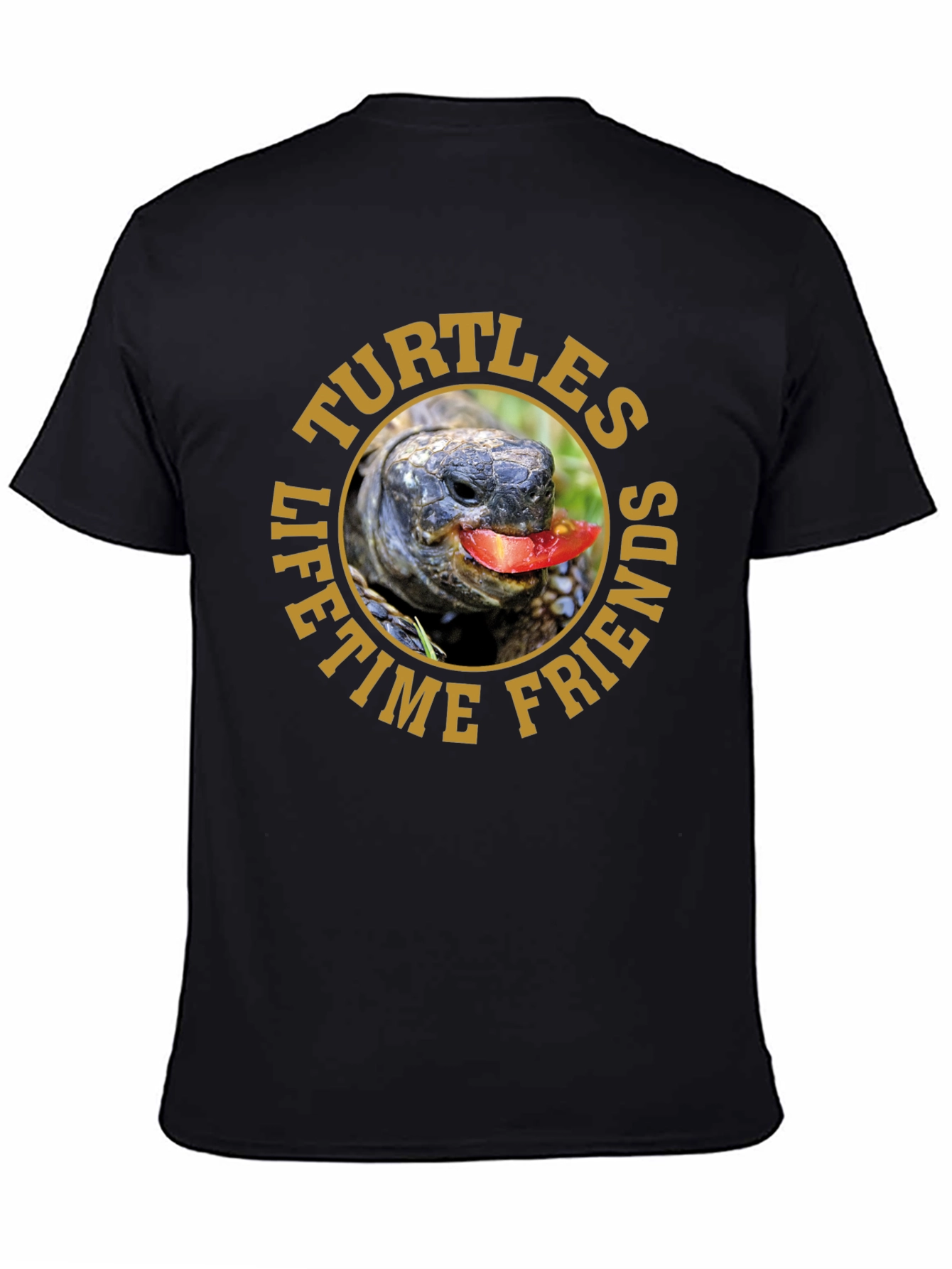 Turtles Lifetime Friends Graphic T-Shirt