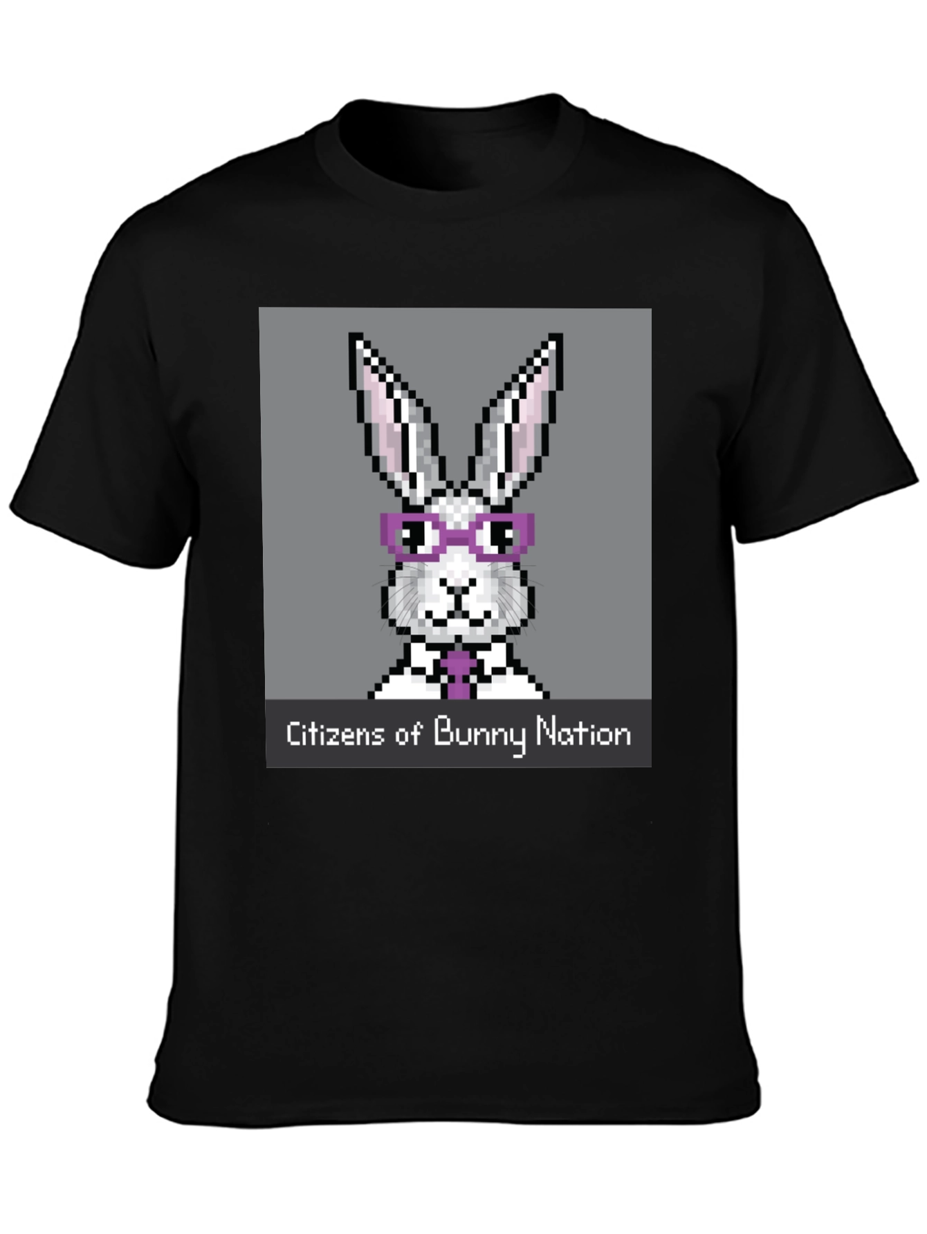 Citizens of Bunny Nation Pixel Art T-Shirt
