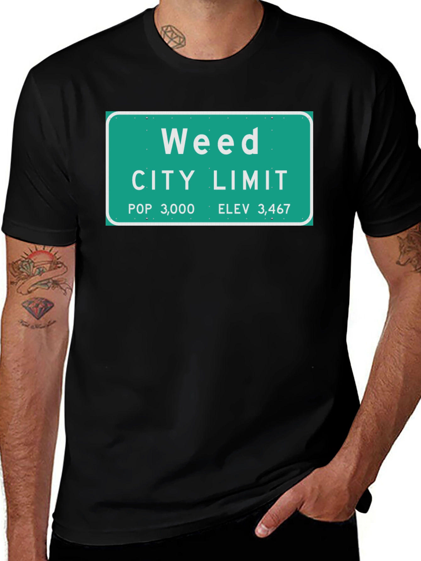 Weed City Limit T-Shirt - Novelty Graphic Tee