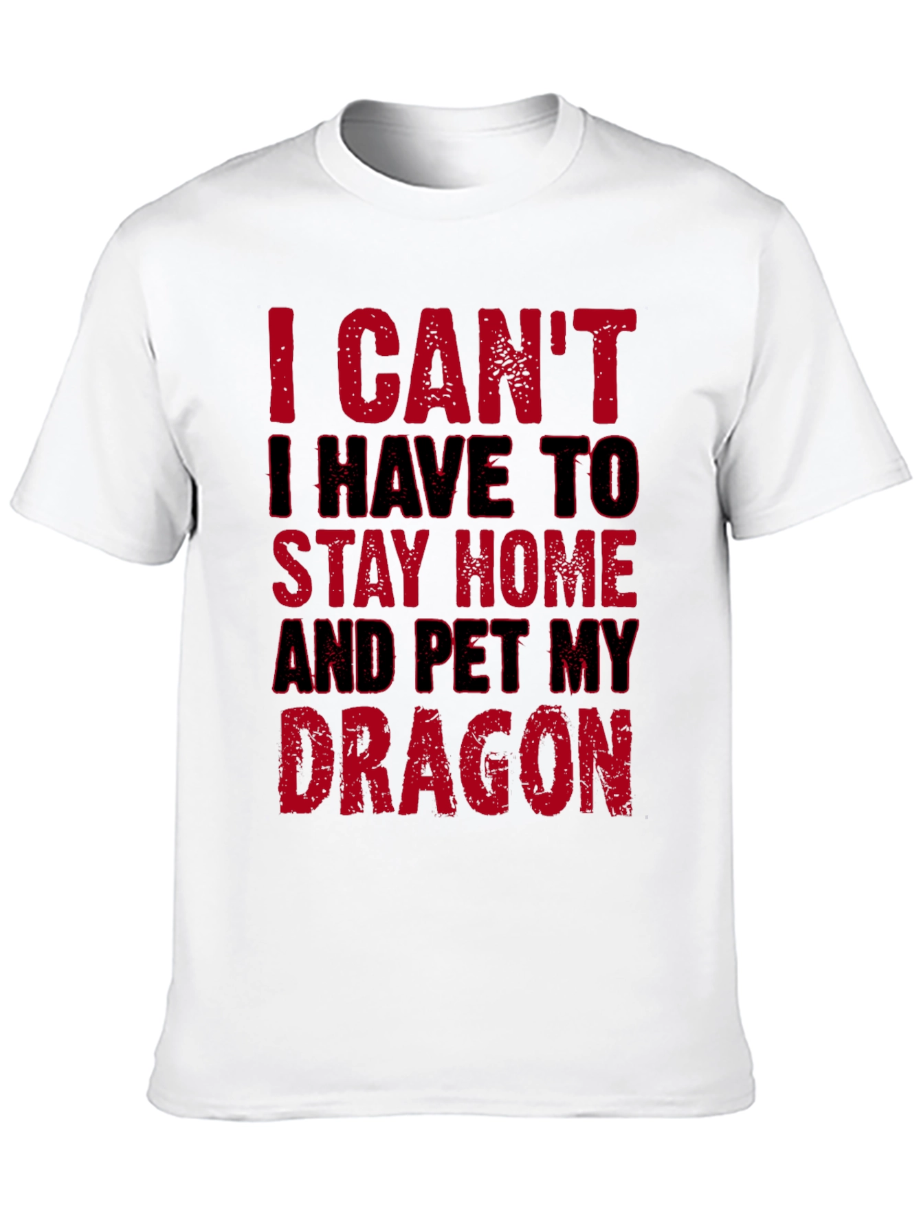 I Cant Pet My Dragon T-Shirt