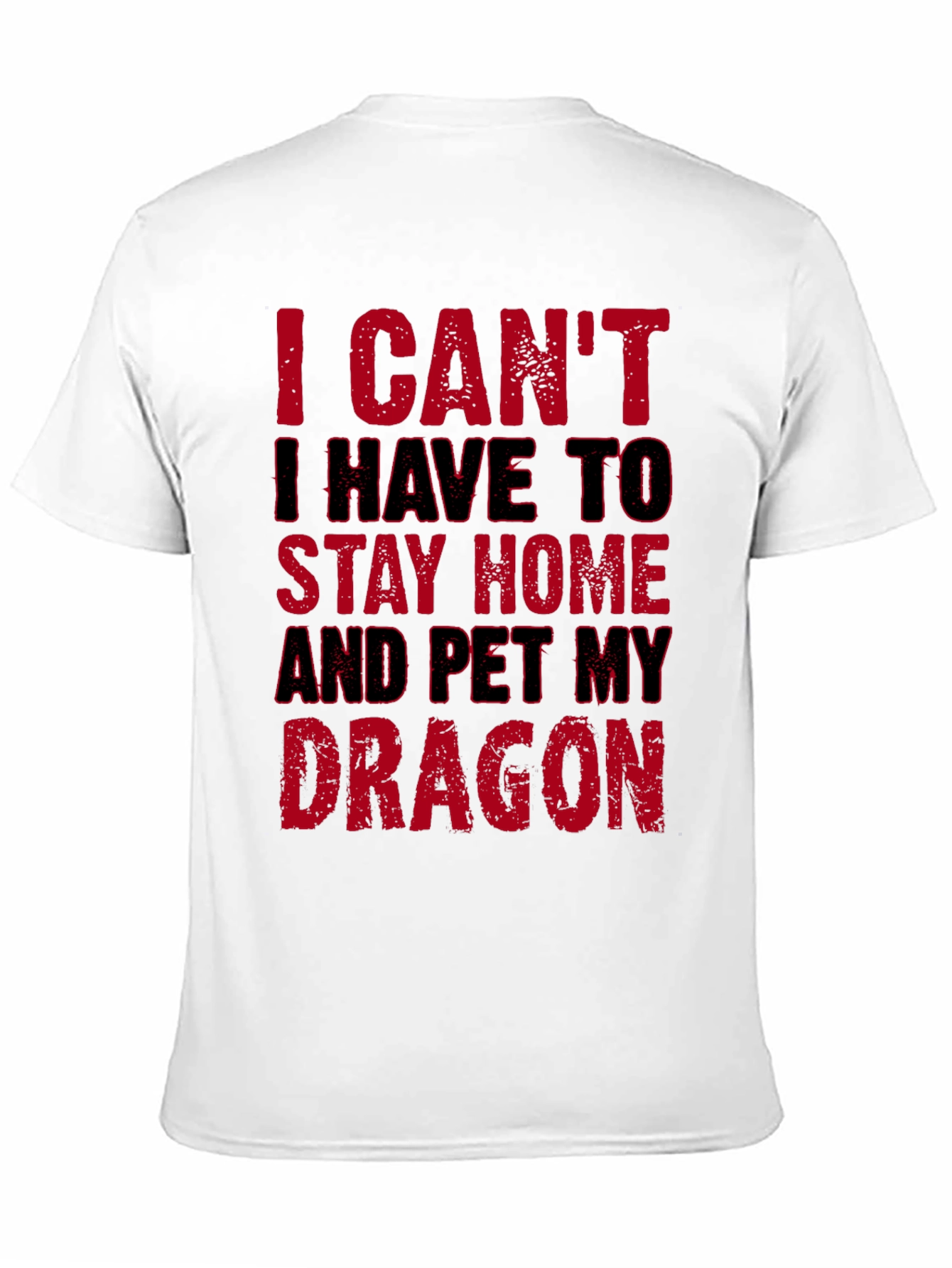 I Cant Pet My Dragon T-Shirt