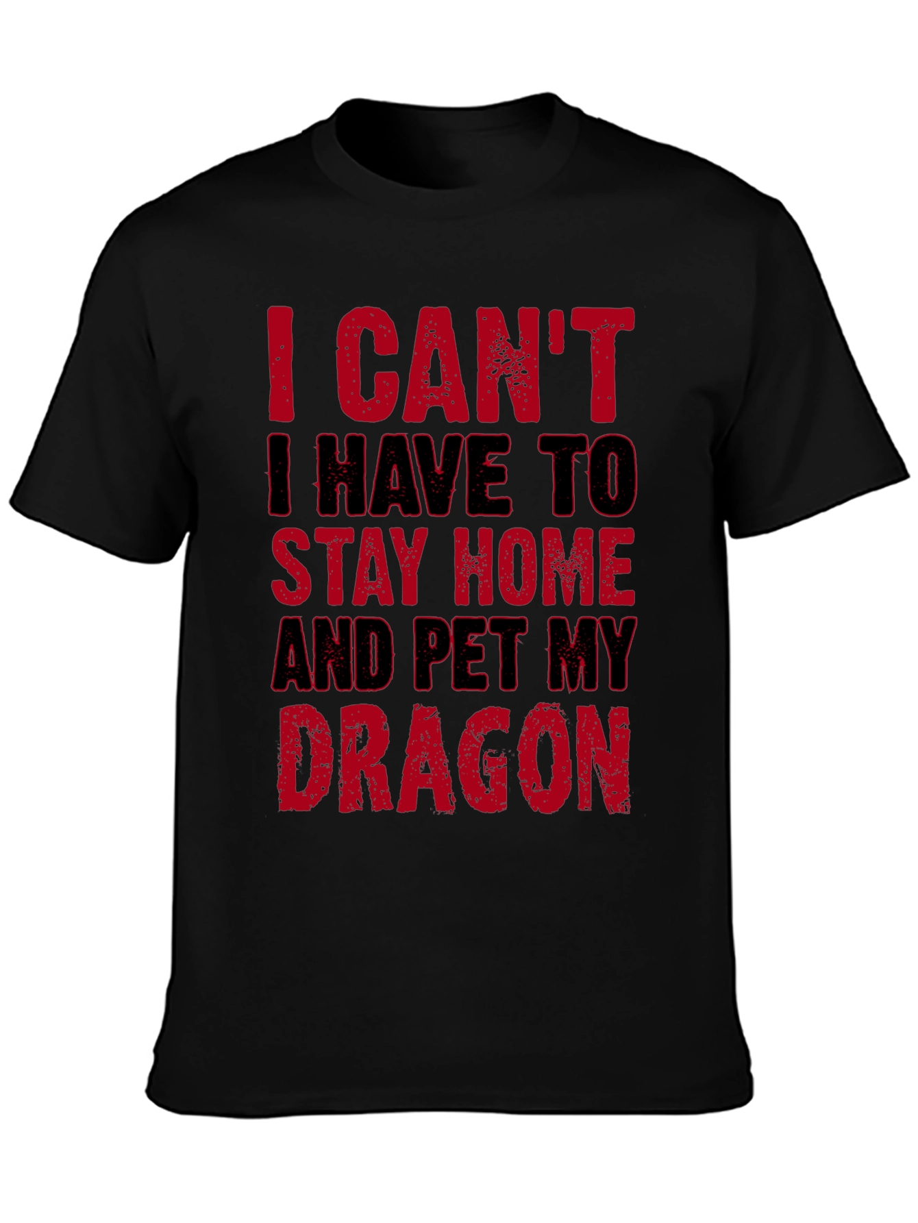 I Cant Pet My Dragon T-Shirt