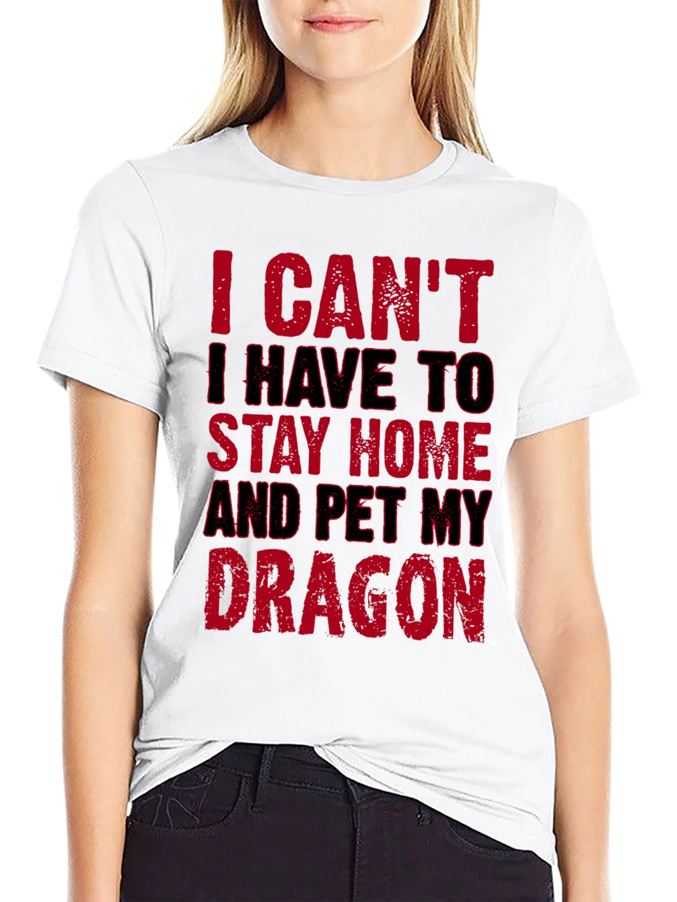 I Cant Pet My Dragon T-Shirt