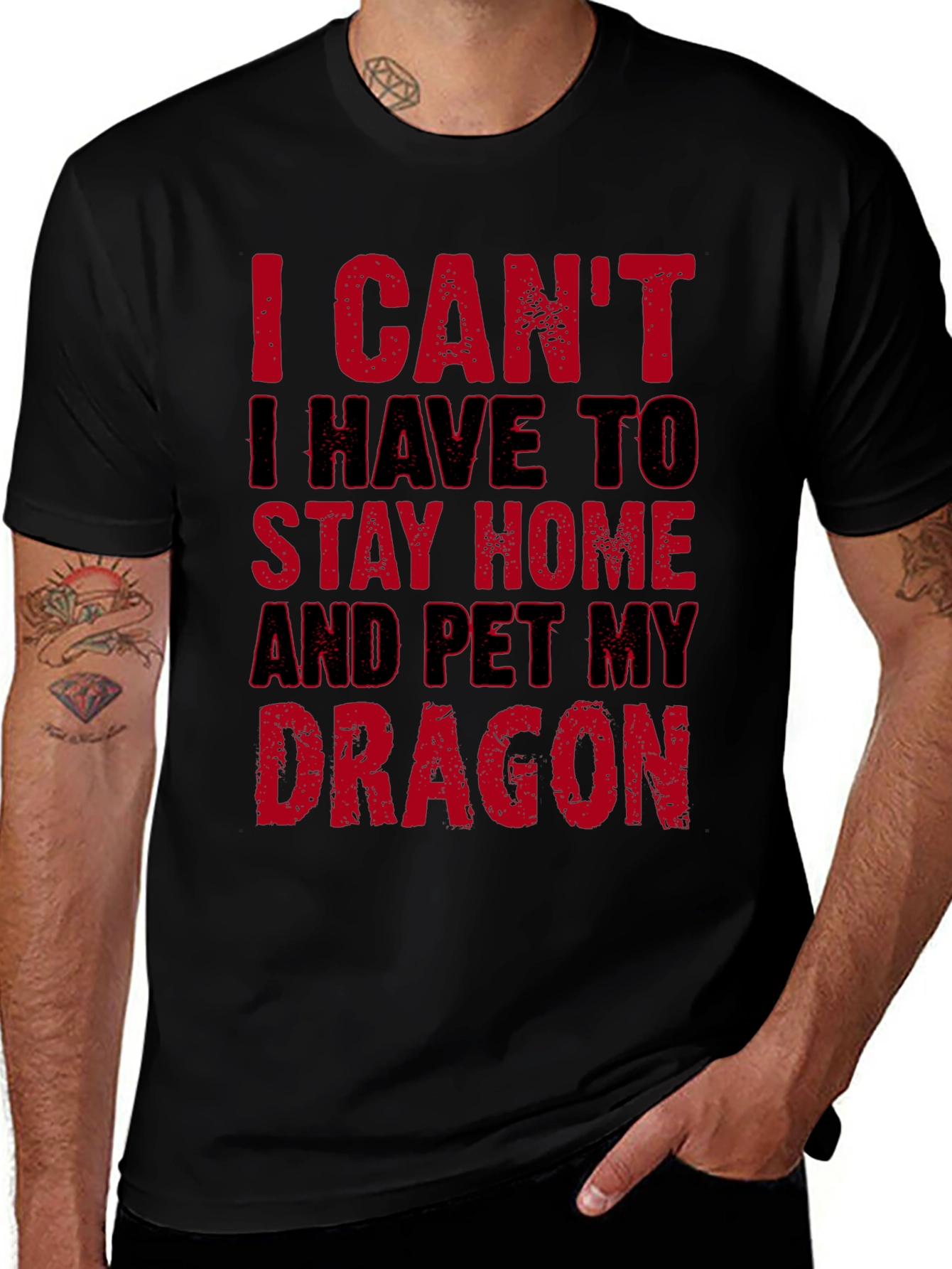 I Cant Pet My Dragon T-Shirt