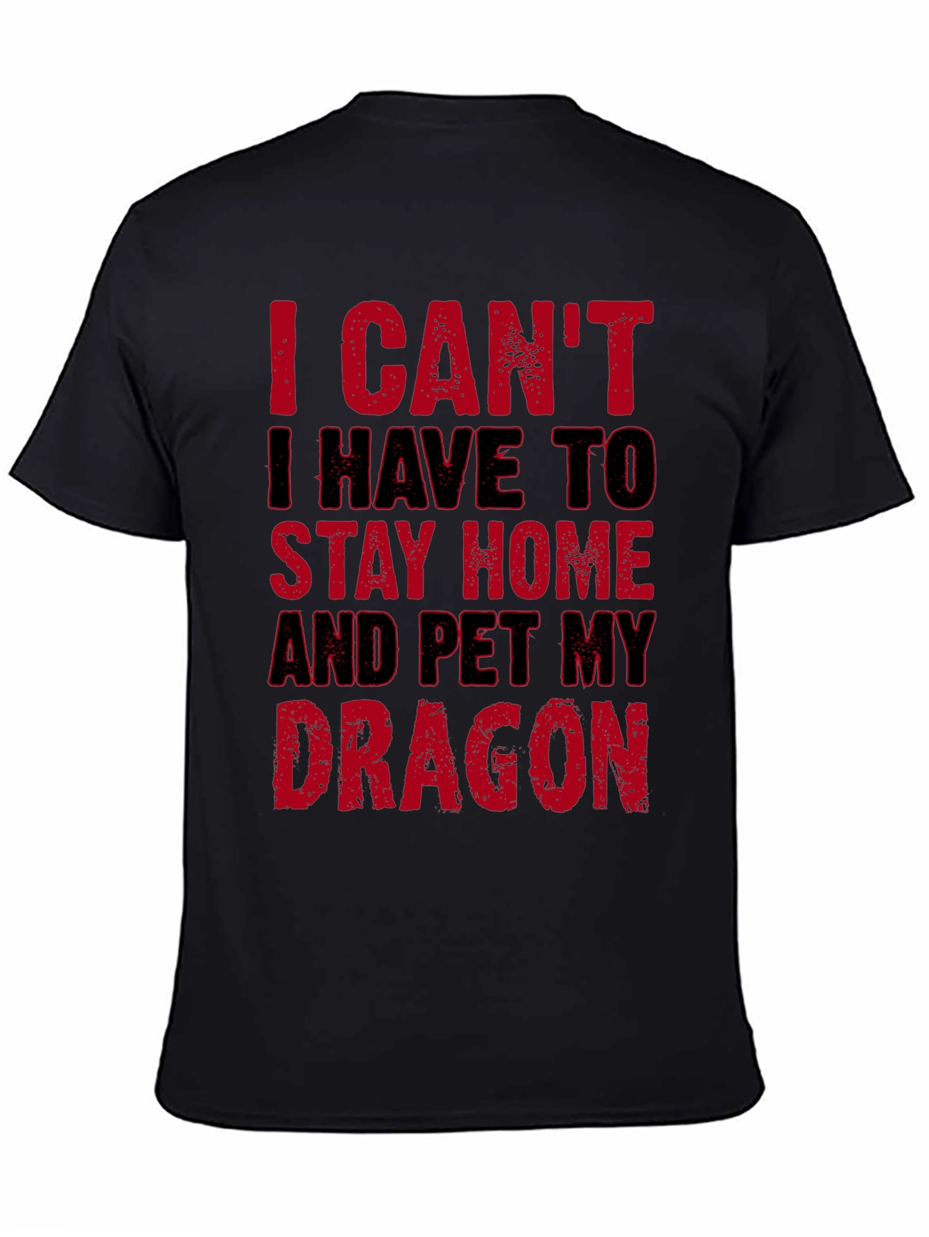 I Cant Pet My Dragon T-Shirt
