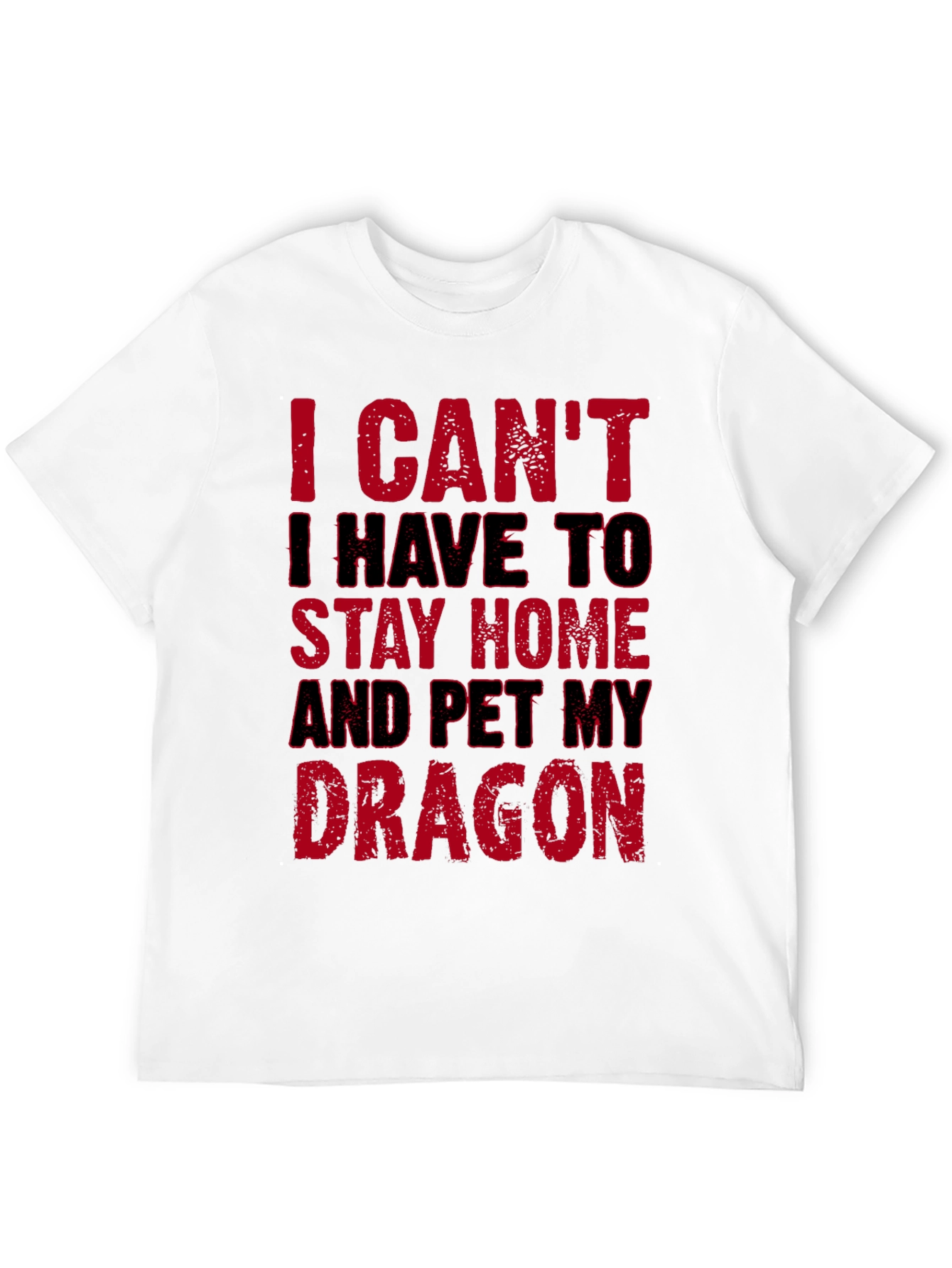 I Cant Pet My Dragon T-Shirt