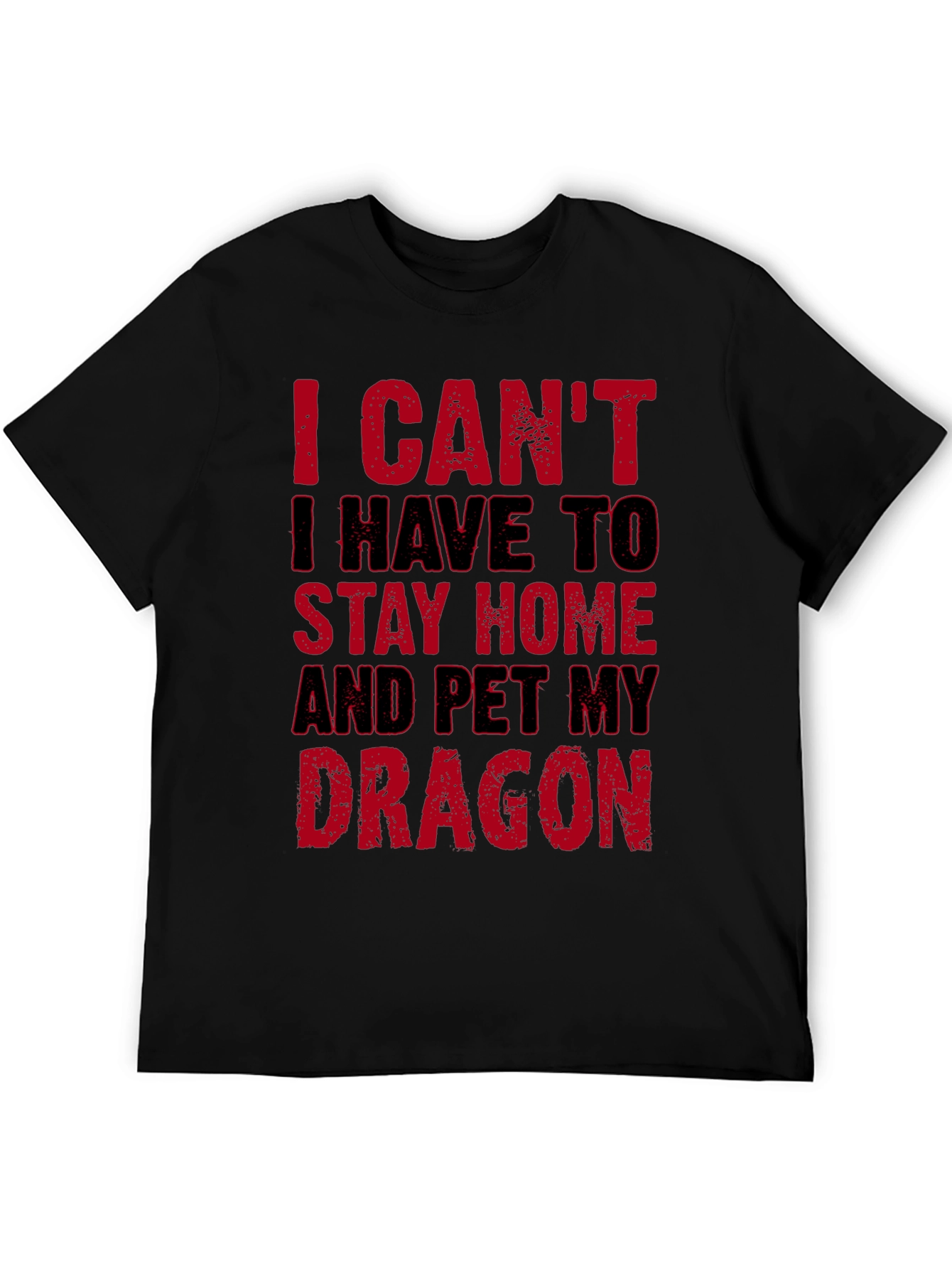 I Cant Pet My Dragon T-Shirt