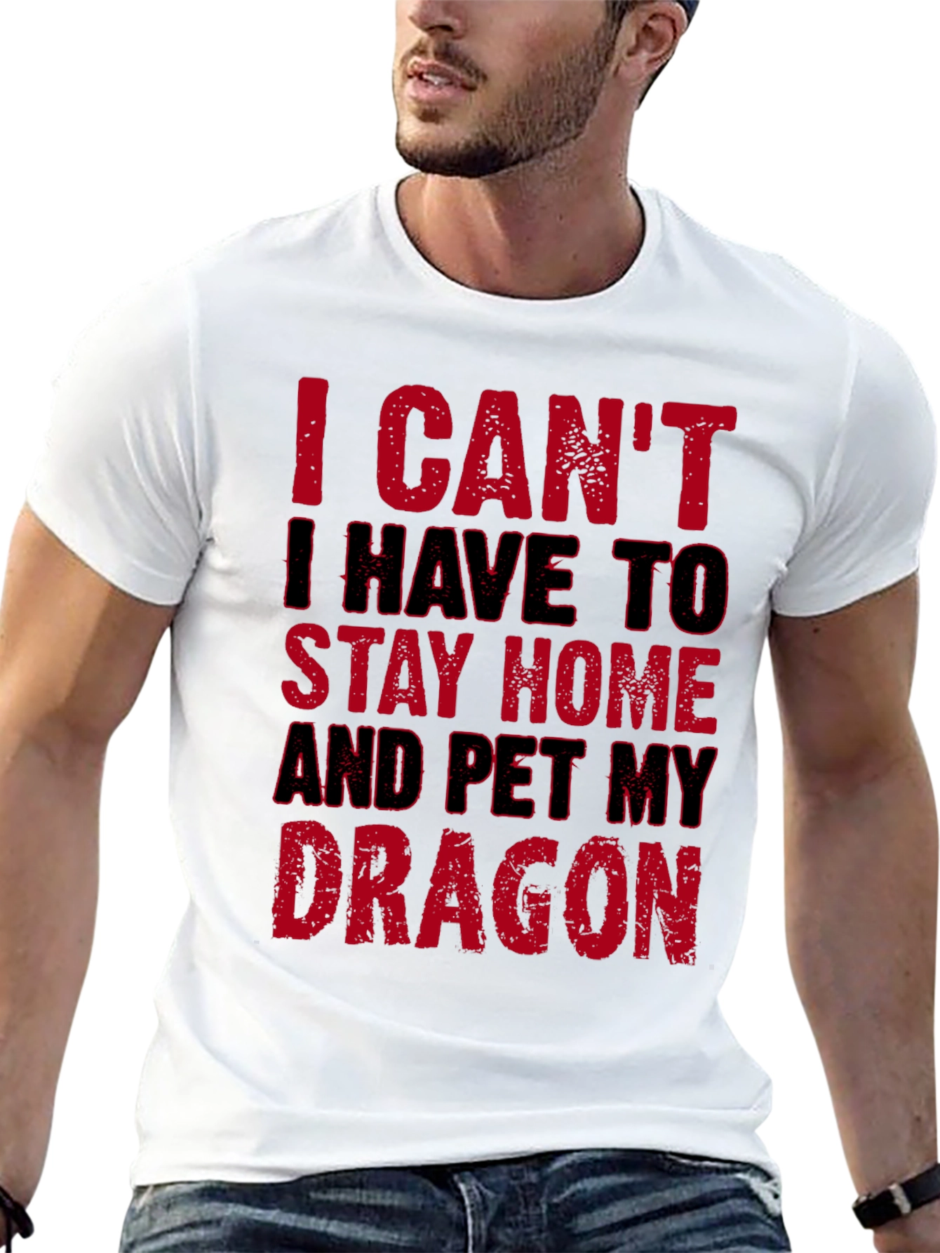 I Cant Pet My Dragon T-Shirt