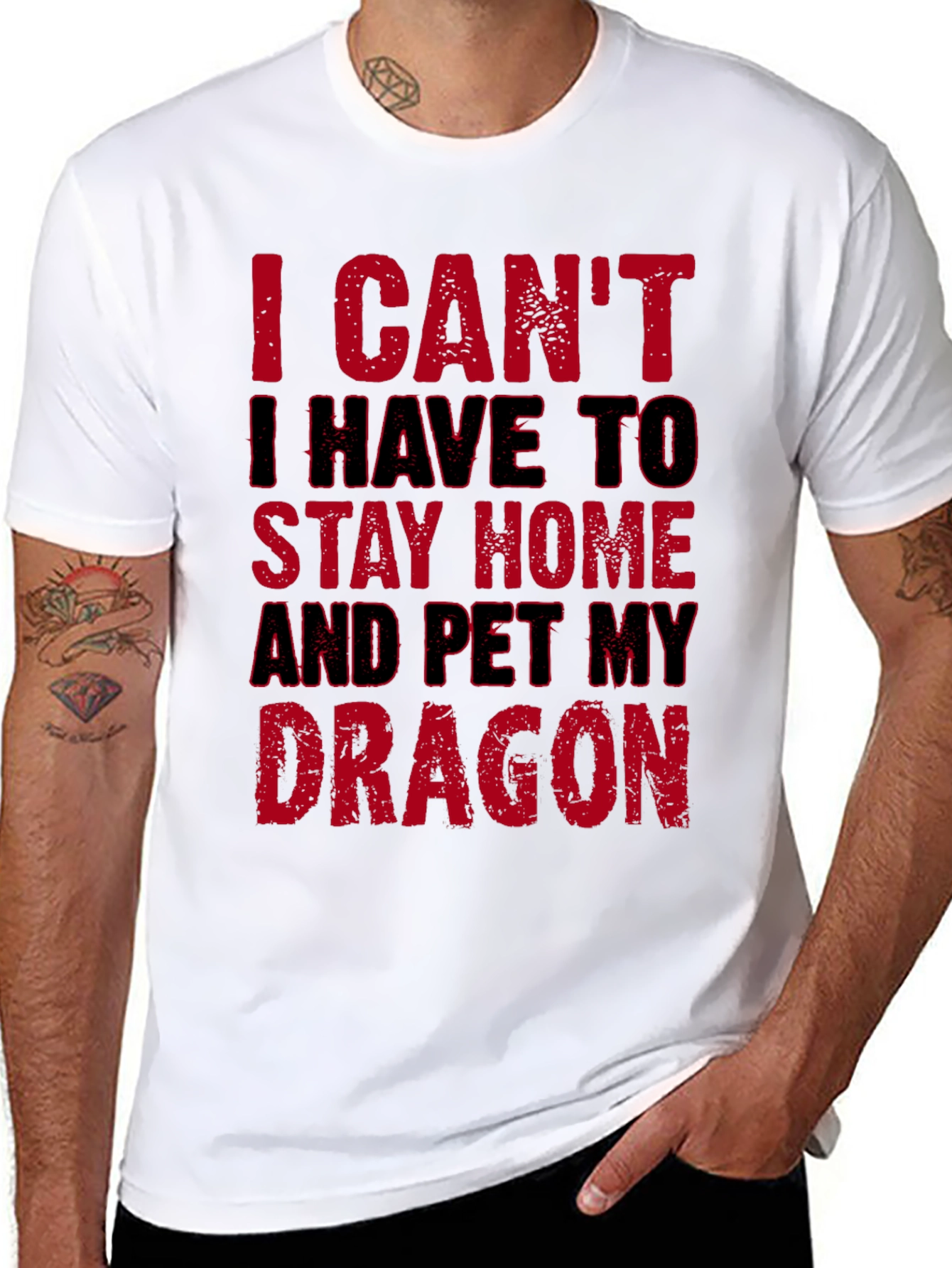 I Cant Pet My Dragon T-Shirt