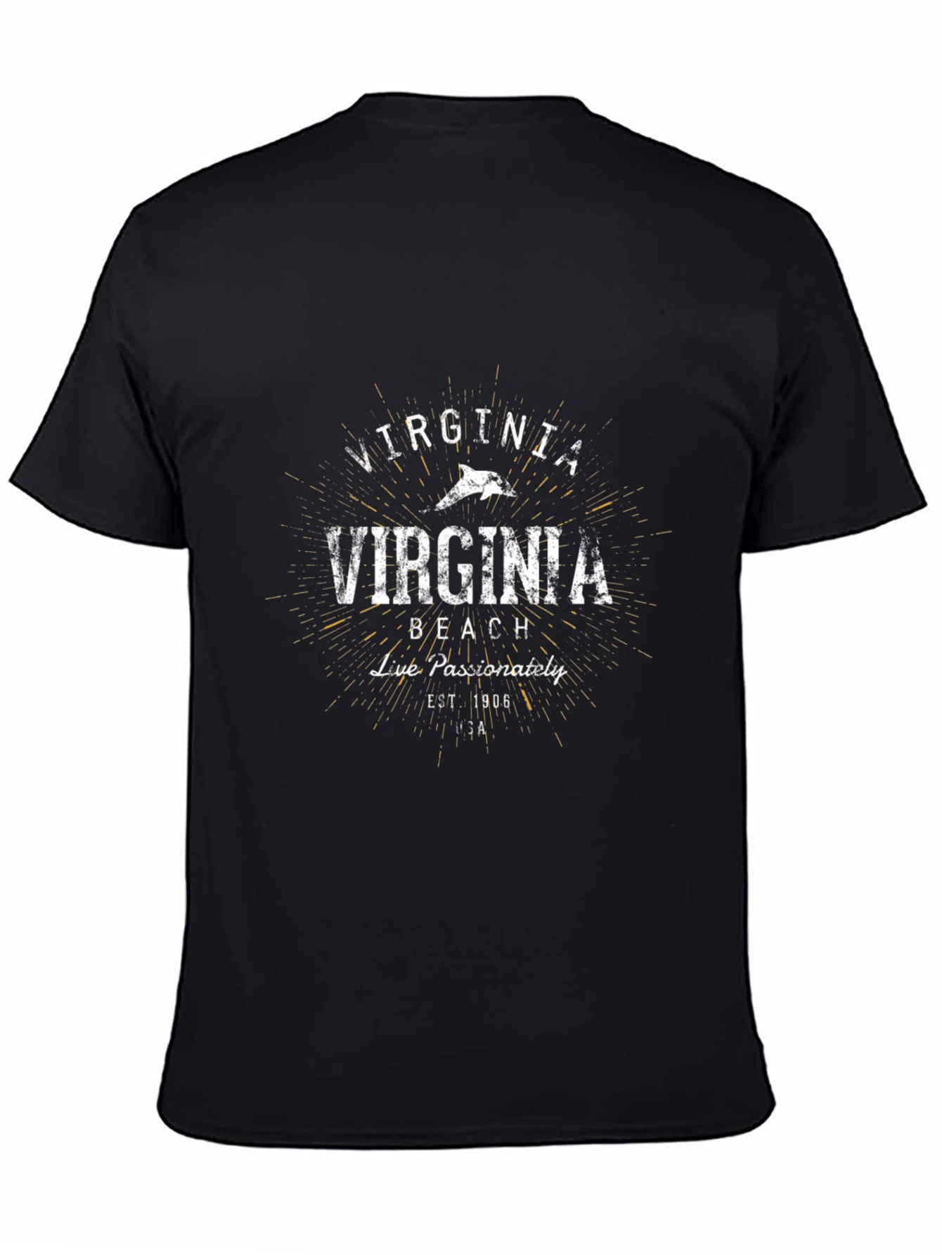 Virginia Beach Graphic T-Shirt
