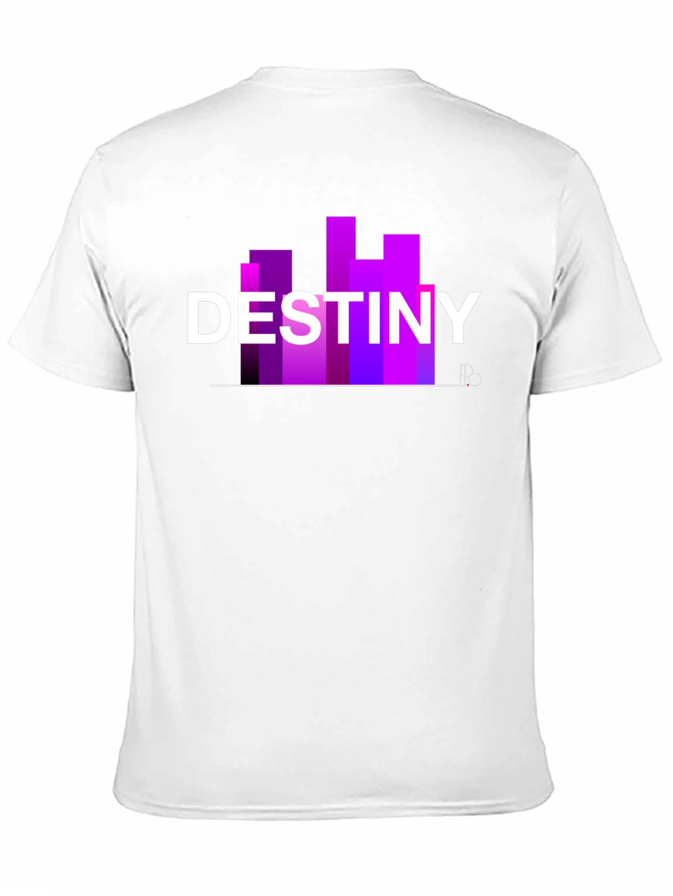Destiny Graphic Black T-Shirt