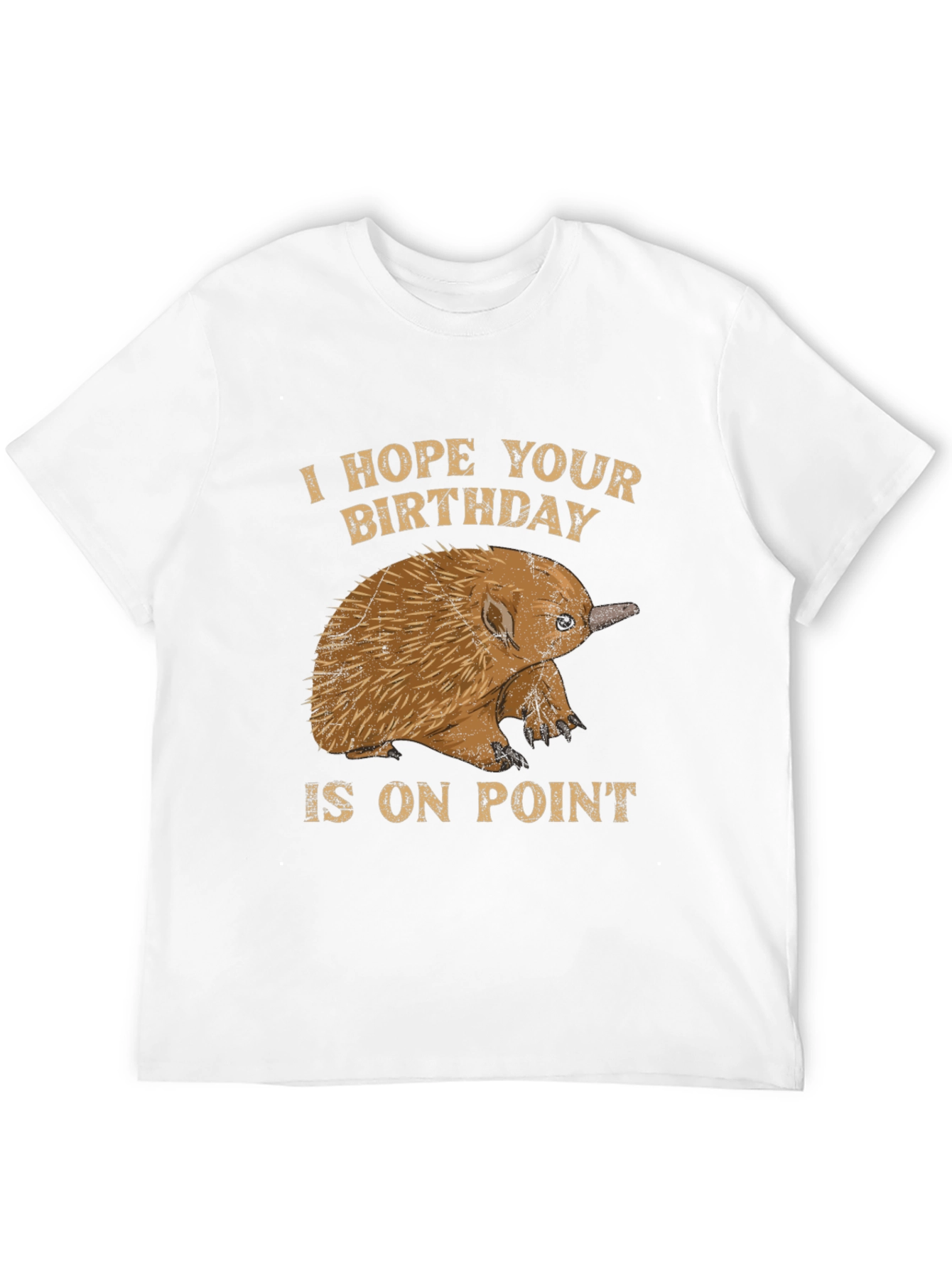 Echidna Birthday On Point T-Shirt