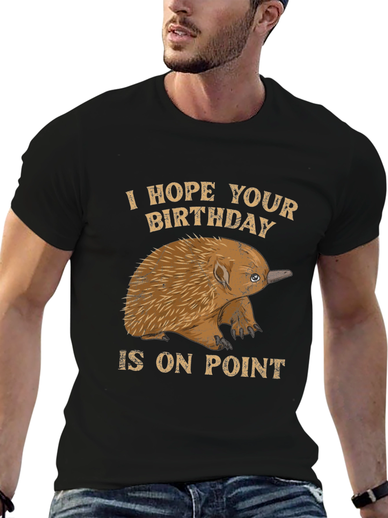 Echidna Birthday On Point T-Shirt