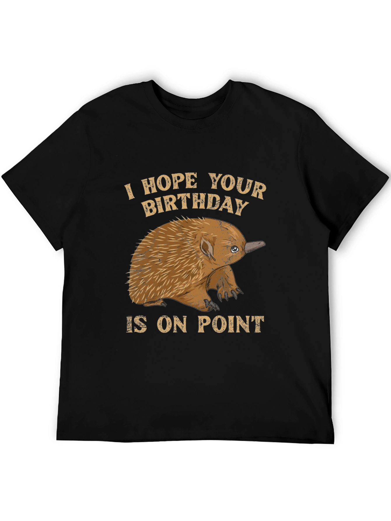 Echidna Birthday On Point T-Shirt