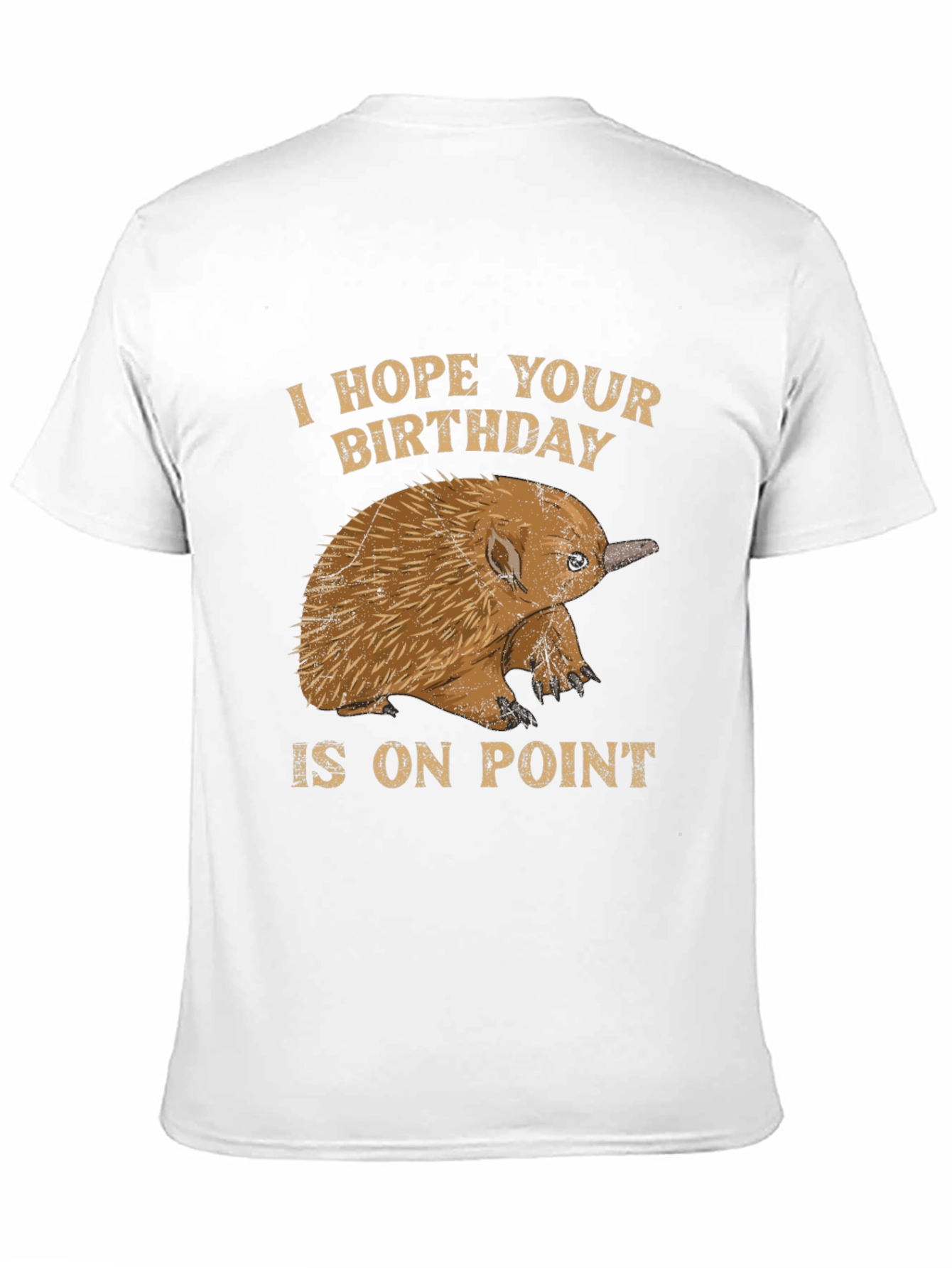 Echidna Birthday On Point T-Shirt