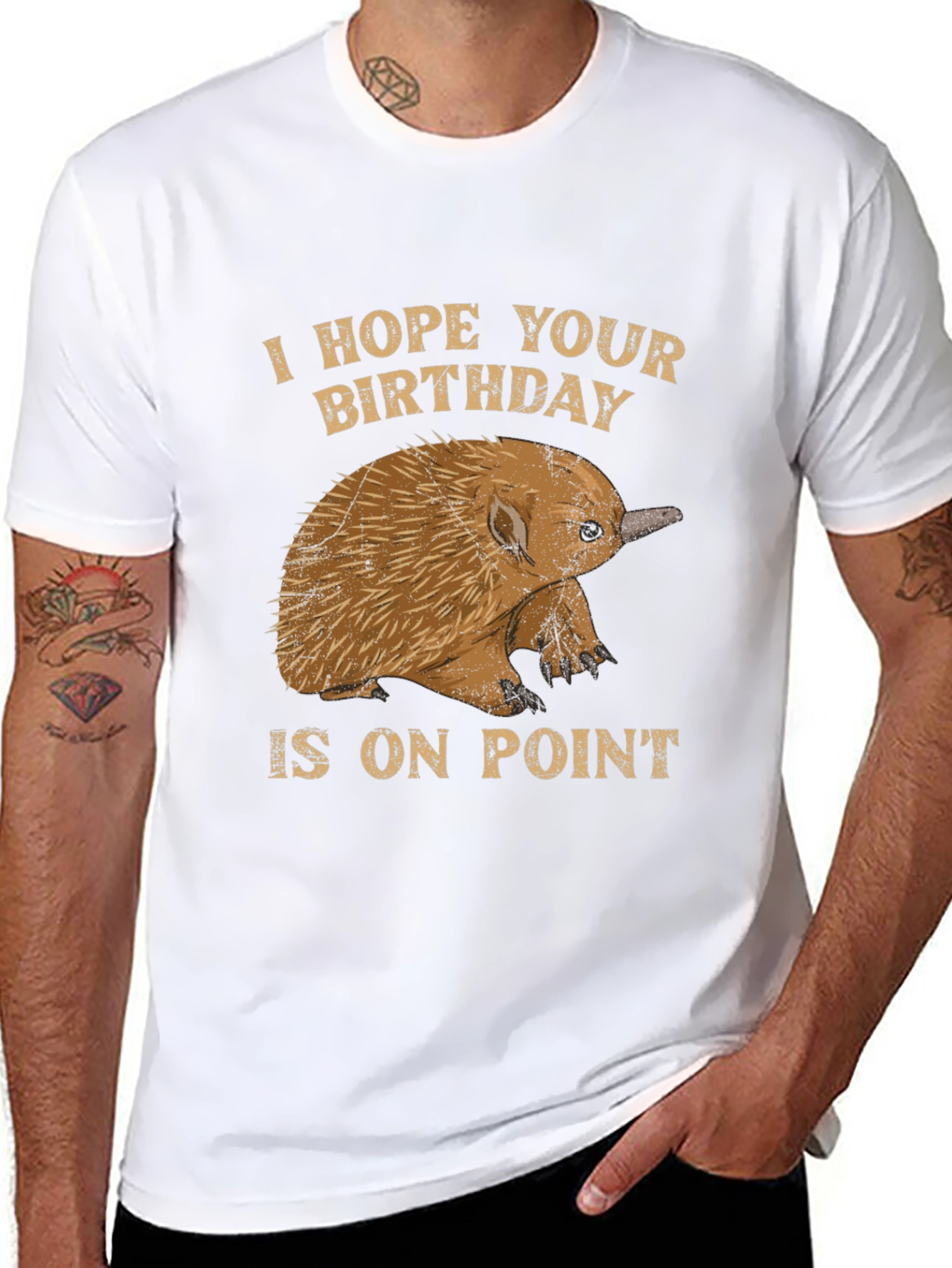 Echidna Birthday On Point T-Shirt