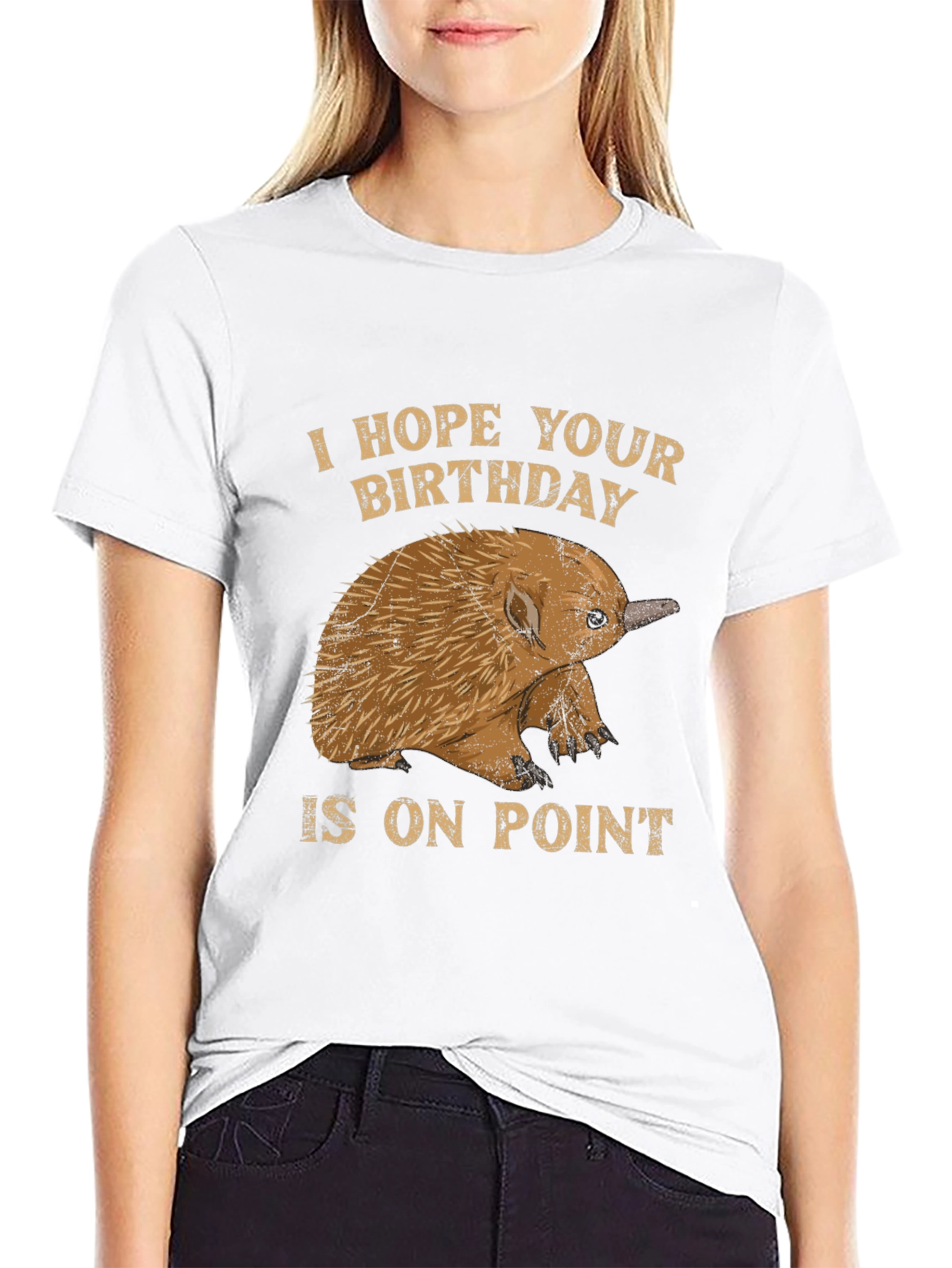 Echidna Birthday On Point T-Shirt