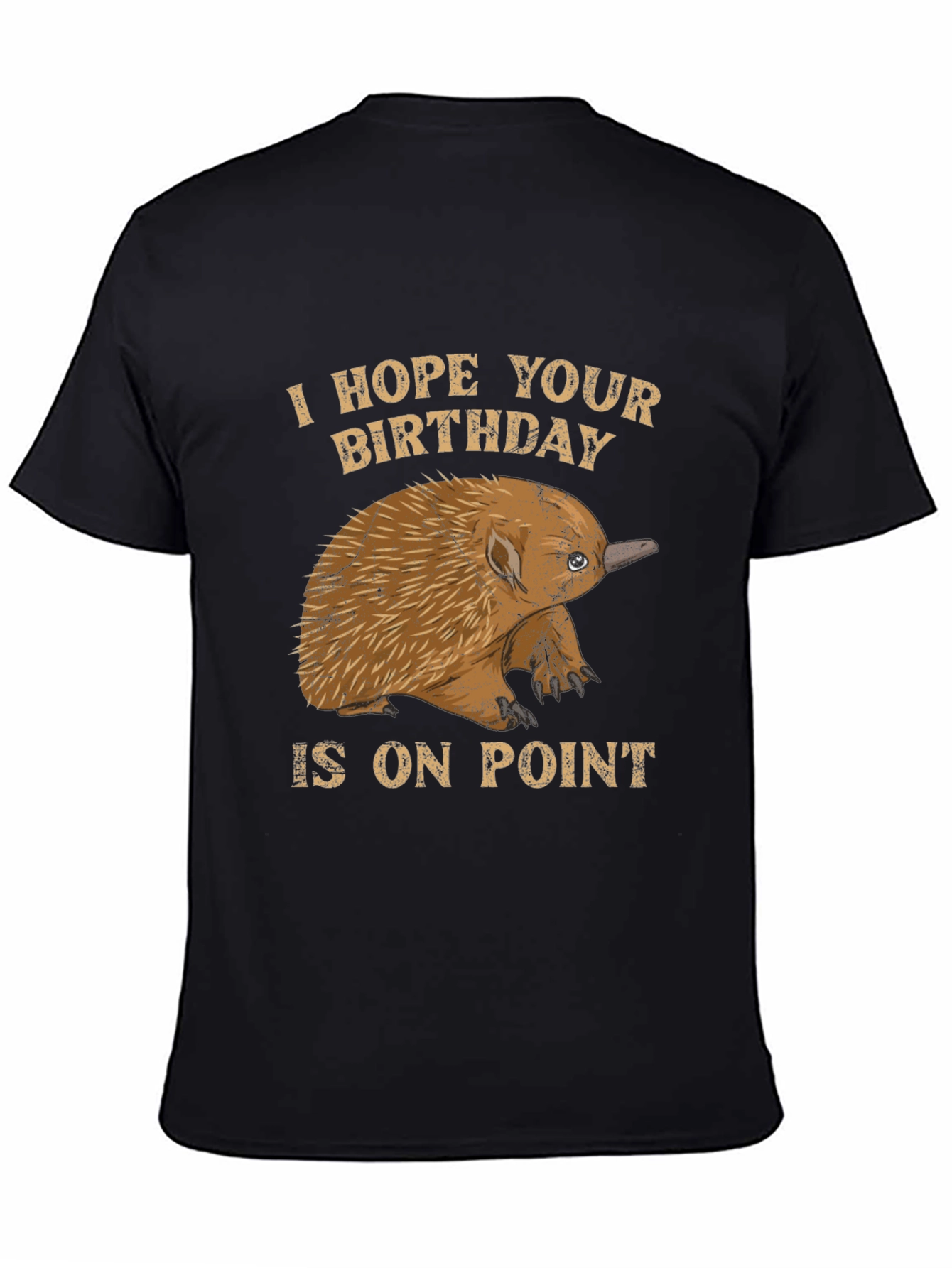 Echidna Birthday On Point T-Shirt