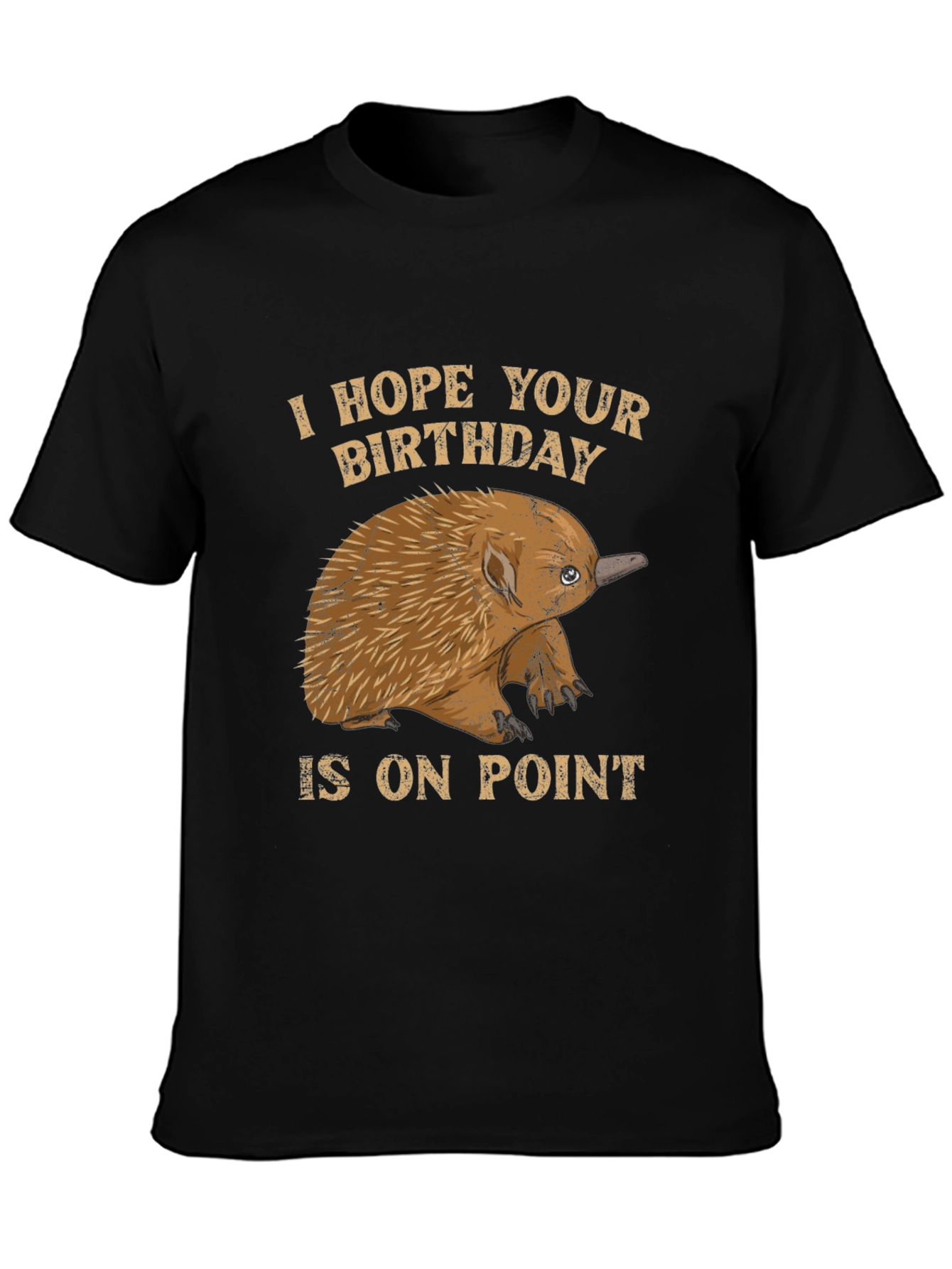 Echidna Birthday On Point T-Shirt