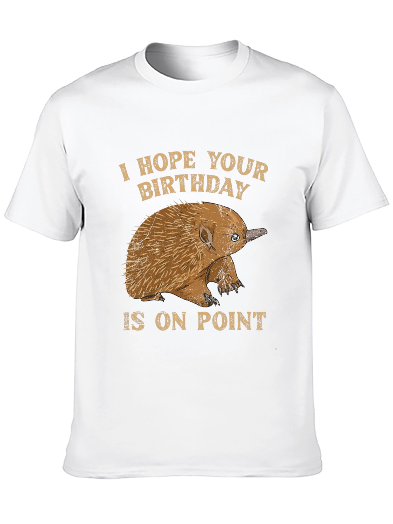 Echidna Birthday On Point T-Shirt
