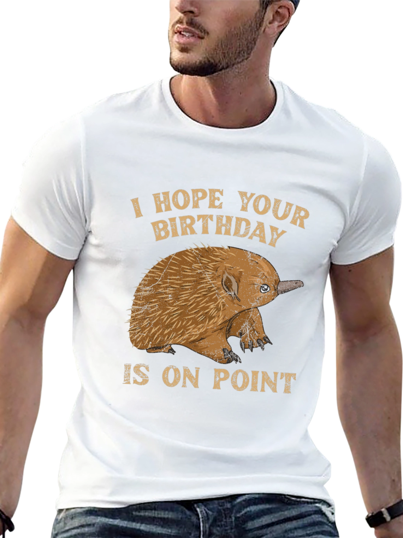 Echidna Birthday On Point T-Shirt