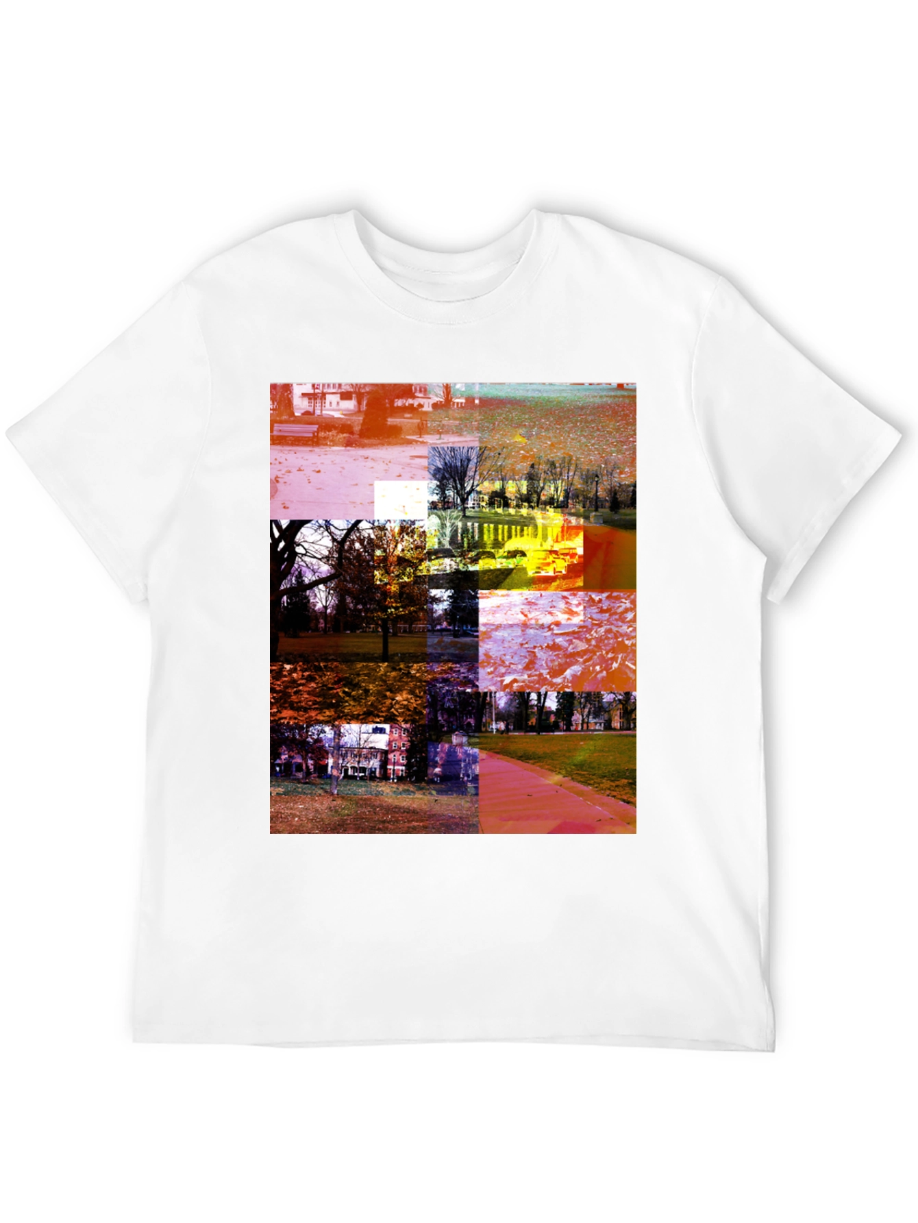 Park Collage Graphic Tee - Black