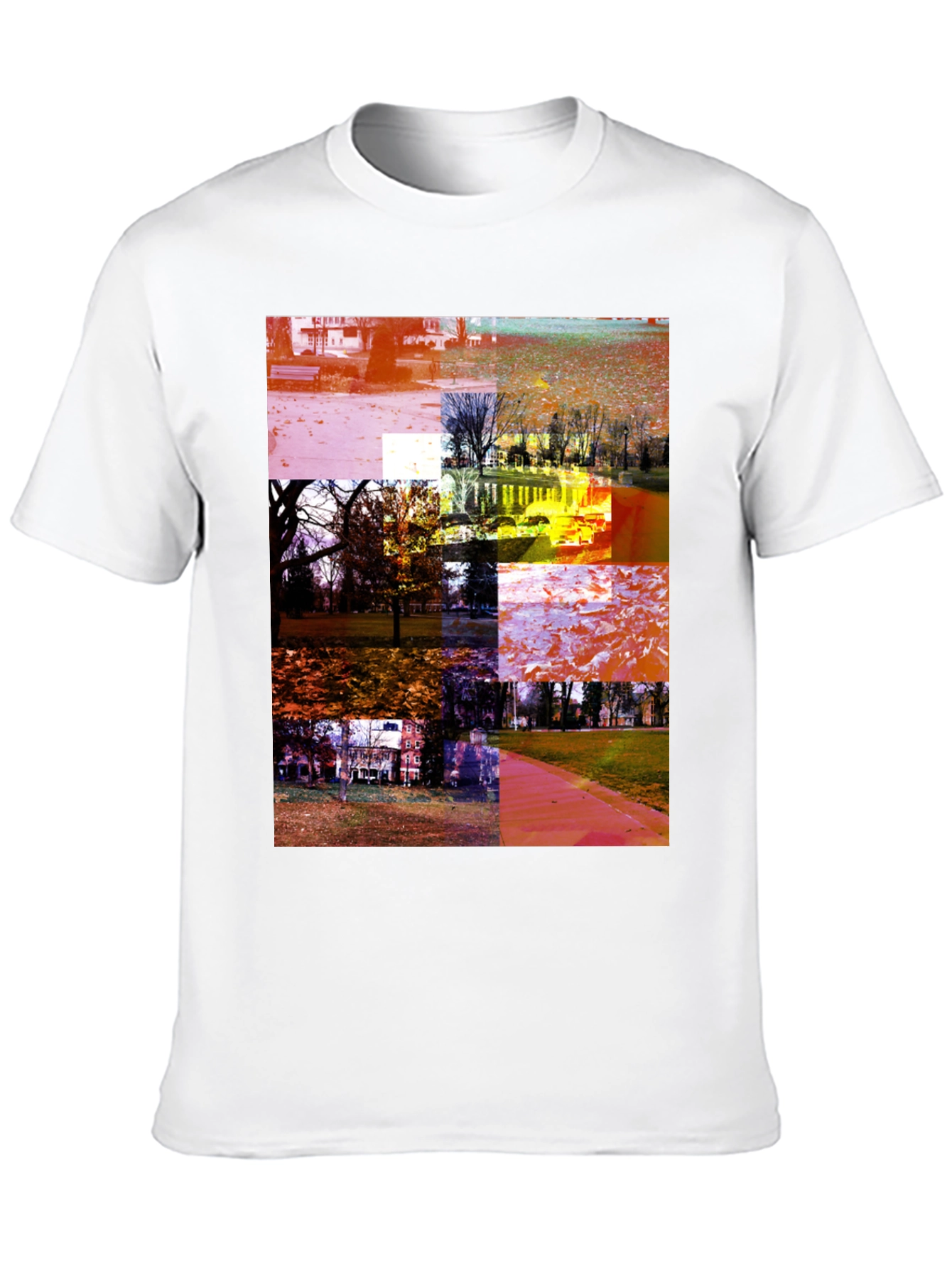 Park Collage Graphic Tee - Black