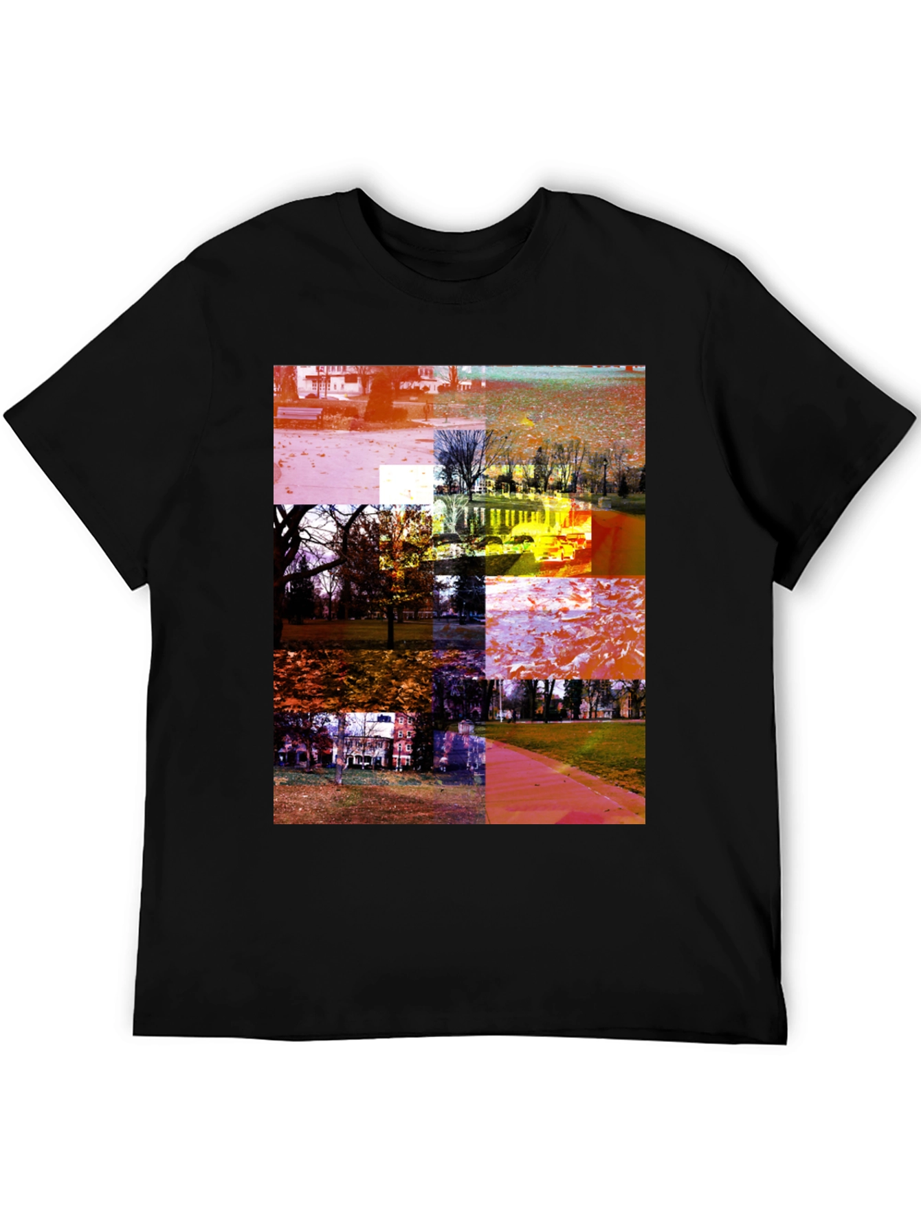 Park Collage Graphic Tee - Black