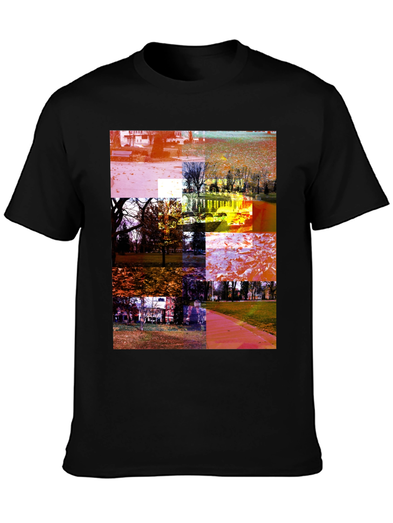 Park Collage Graphic Tee - Black