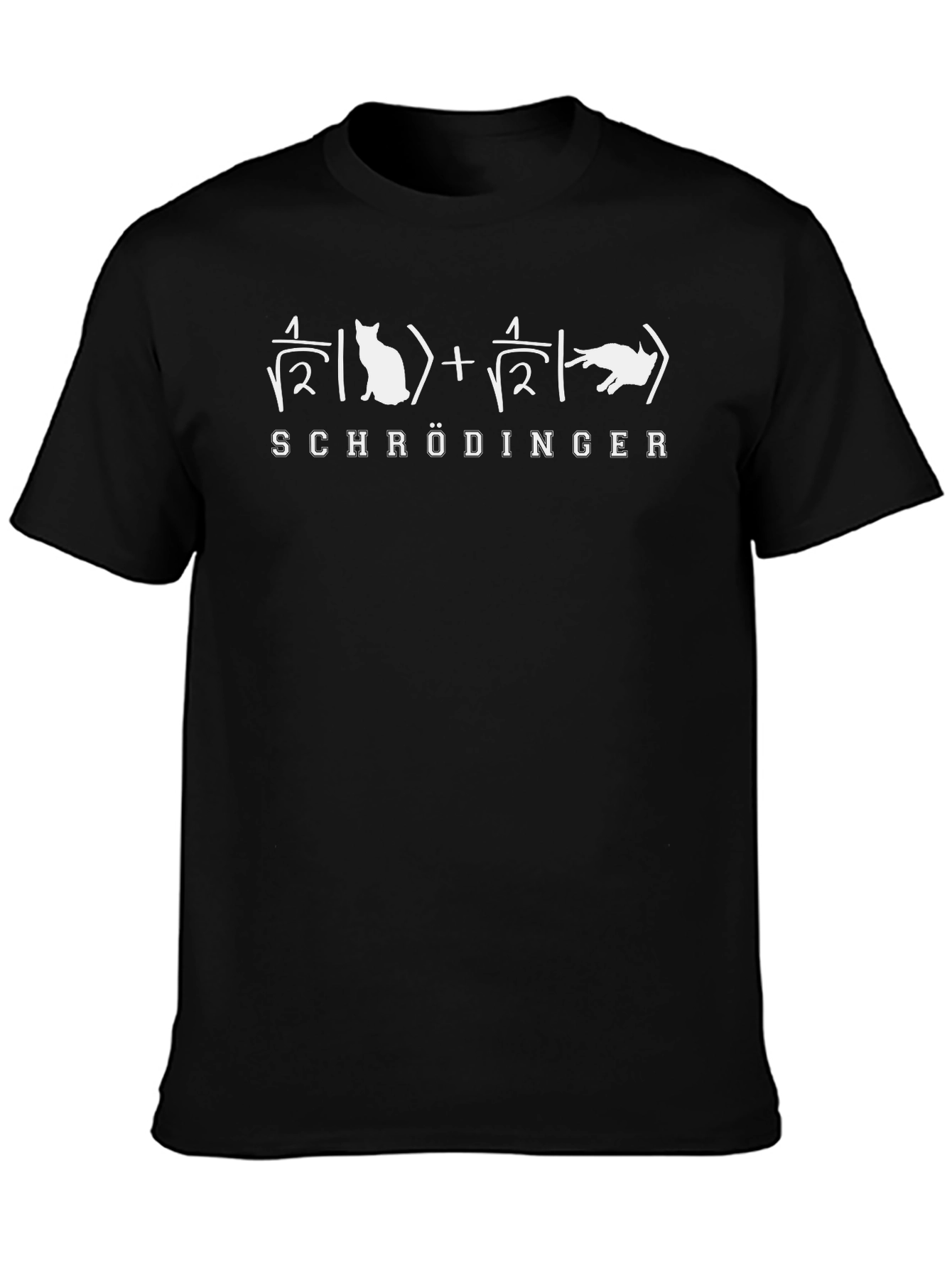 Schrödingers Cat Equation T-Shirt