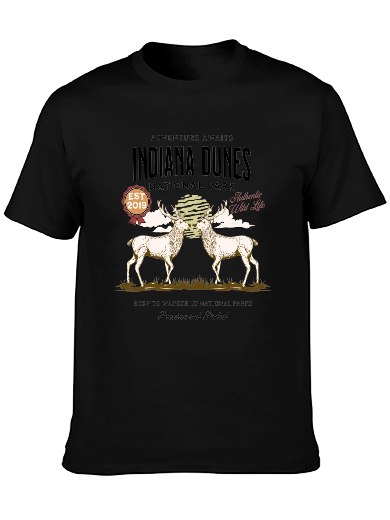 Indiana Dunes National Park Graphic T-Shirt