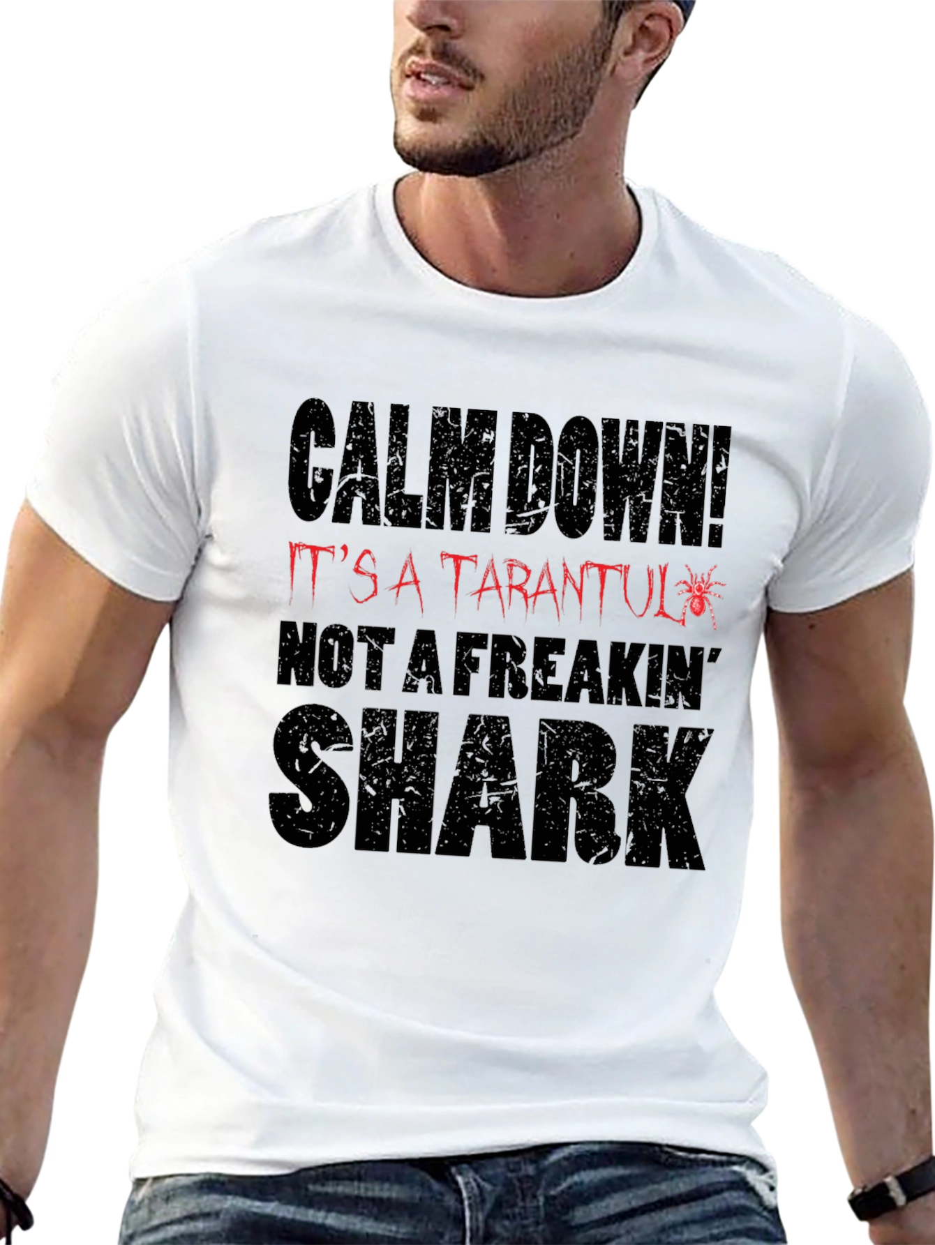 Calm Down Tarantula Mens Graphic T-Shirt
