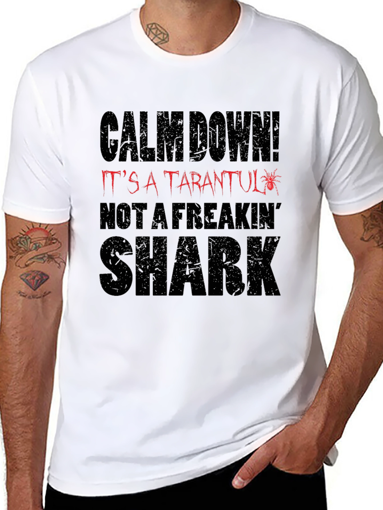 Calm Down Tarantula Mens Graphic T-Shirt
