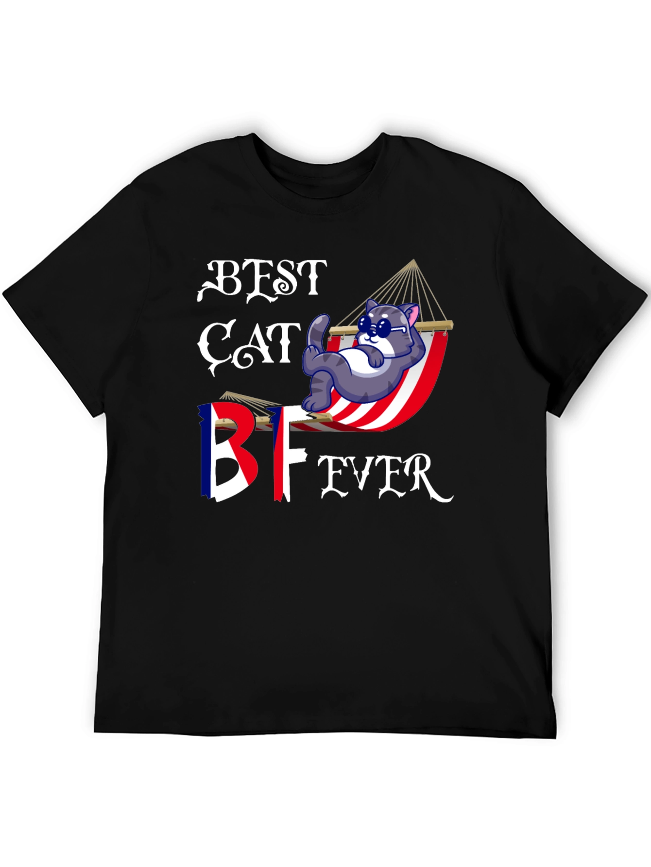 Best Cat BF Ever T-Shirt - Novelty Graphic Tee