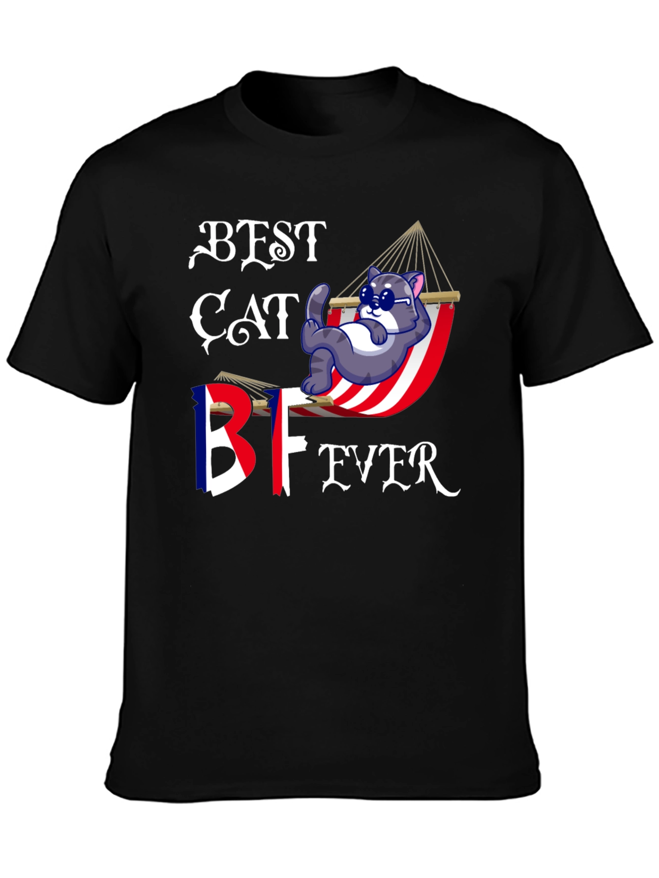 Best Cat BF Ever T-Shirt - Novelty Graphic Tee