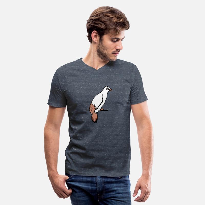 Bird raven dove sitting cable hawk eagle birdie
