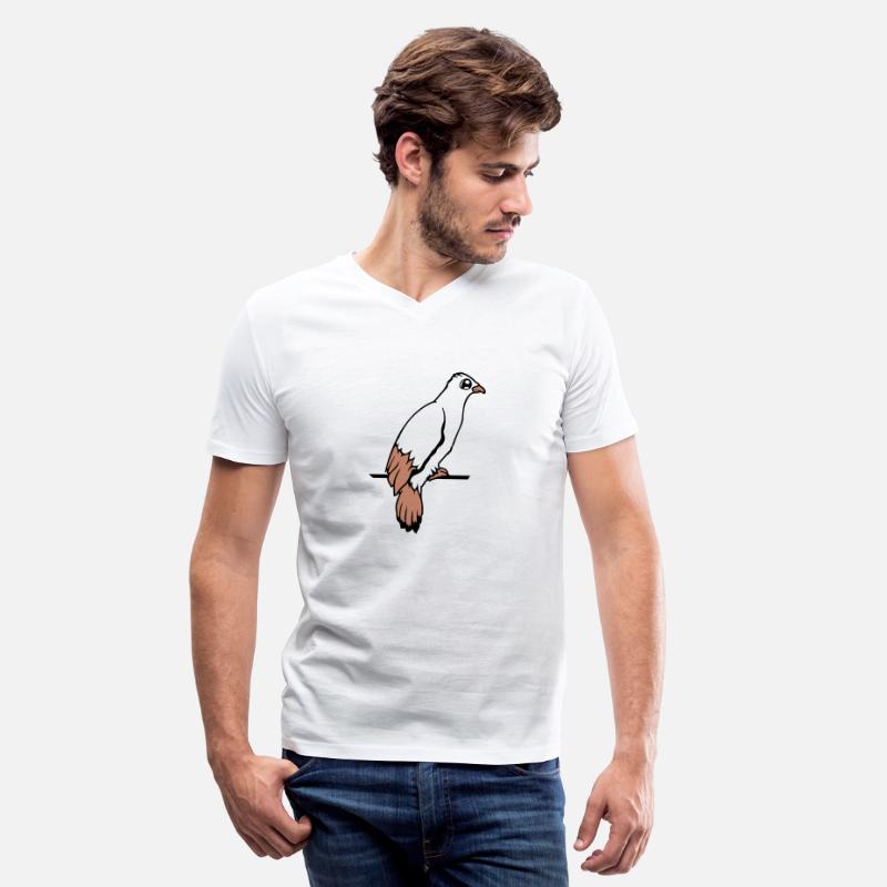 Bird raven dove sitting cable hawk eagle birdie