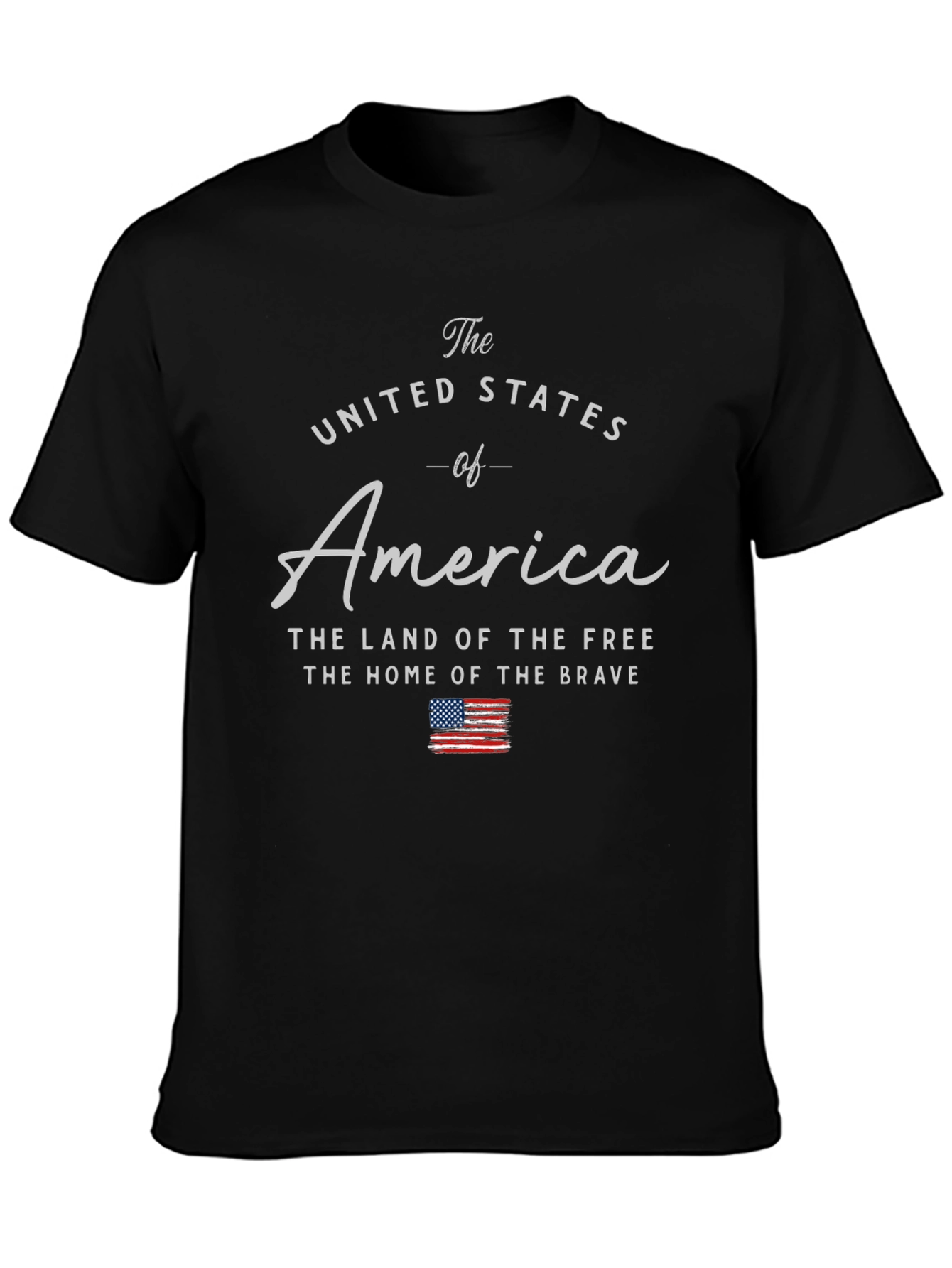 United States of America Graphic T-Shirt