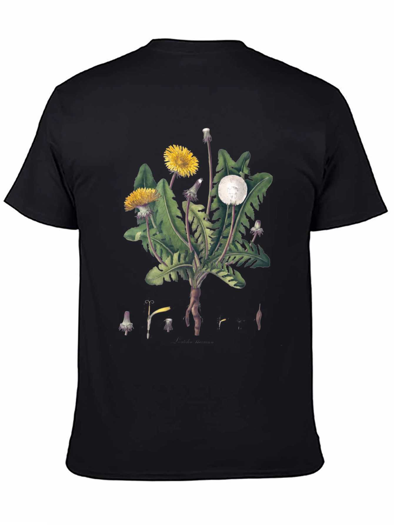 Dandelion Graphic Tee - Nature Inspired Design