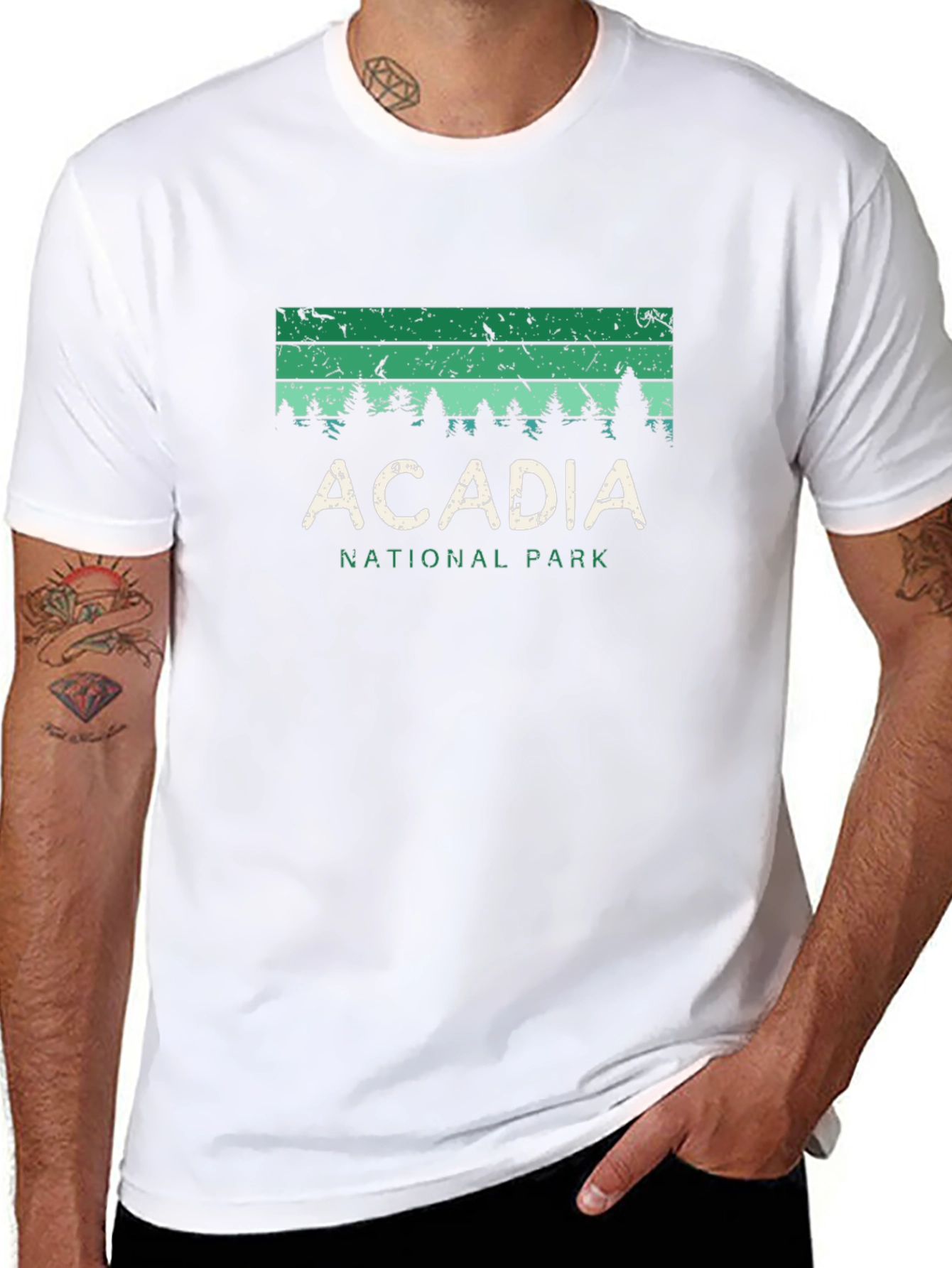 Acadia National Park Graphic Tee
