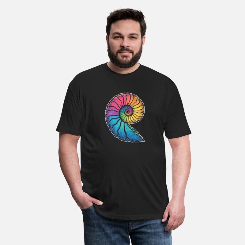 Colorful Ammonites Fossils Prehistory