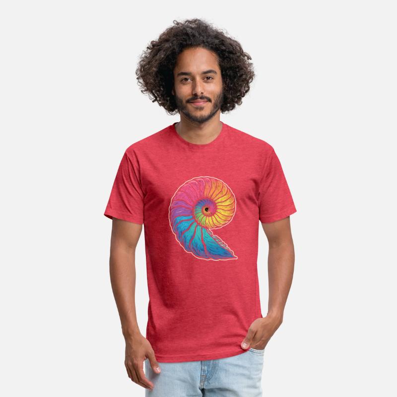 Colorful Ammonites Fossils Prehistory