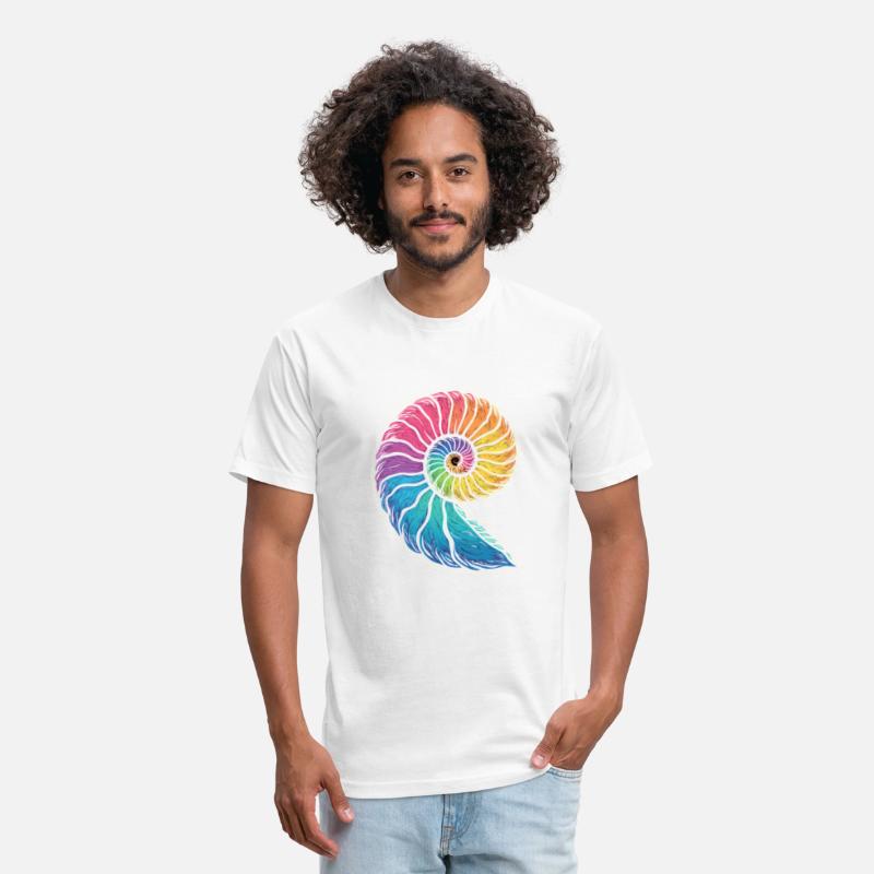 Colorful Ammonites Fossils Prehistory