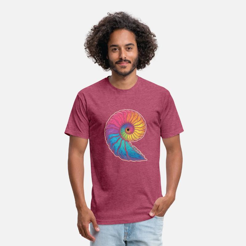 Colorful Ammonites Fossils Prehistory