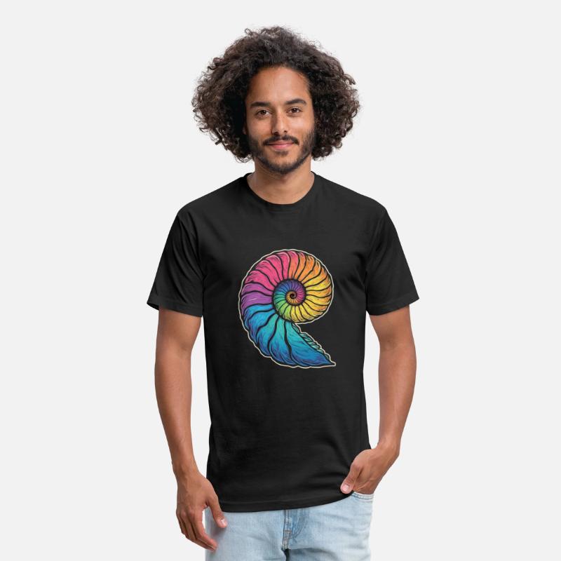 Colorful Ammonites Fossils Prehistory