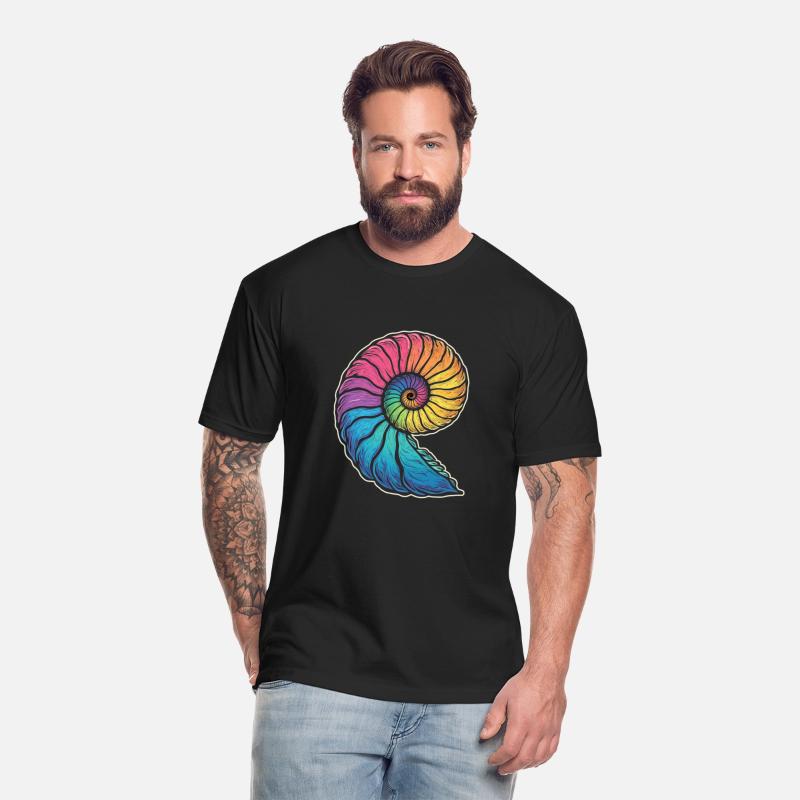 Colorful Ammonites Fossils Prehistory