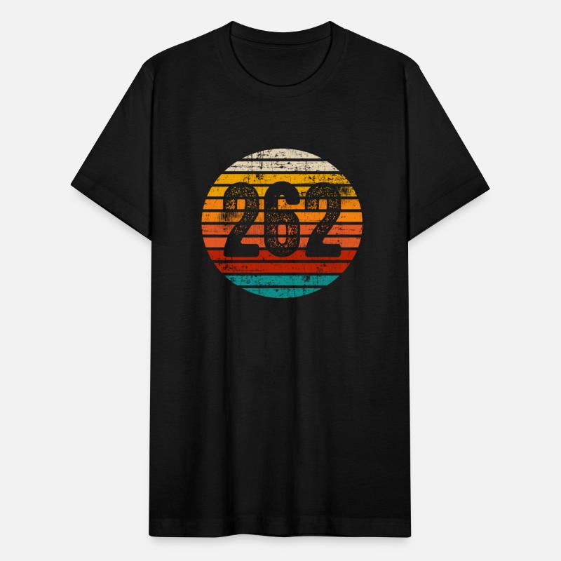 Distressed Vintage Sunset 262 Area Code