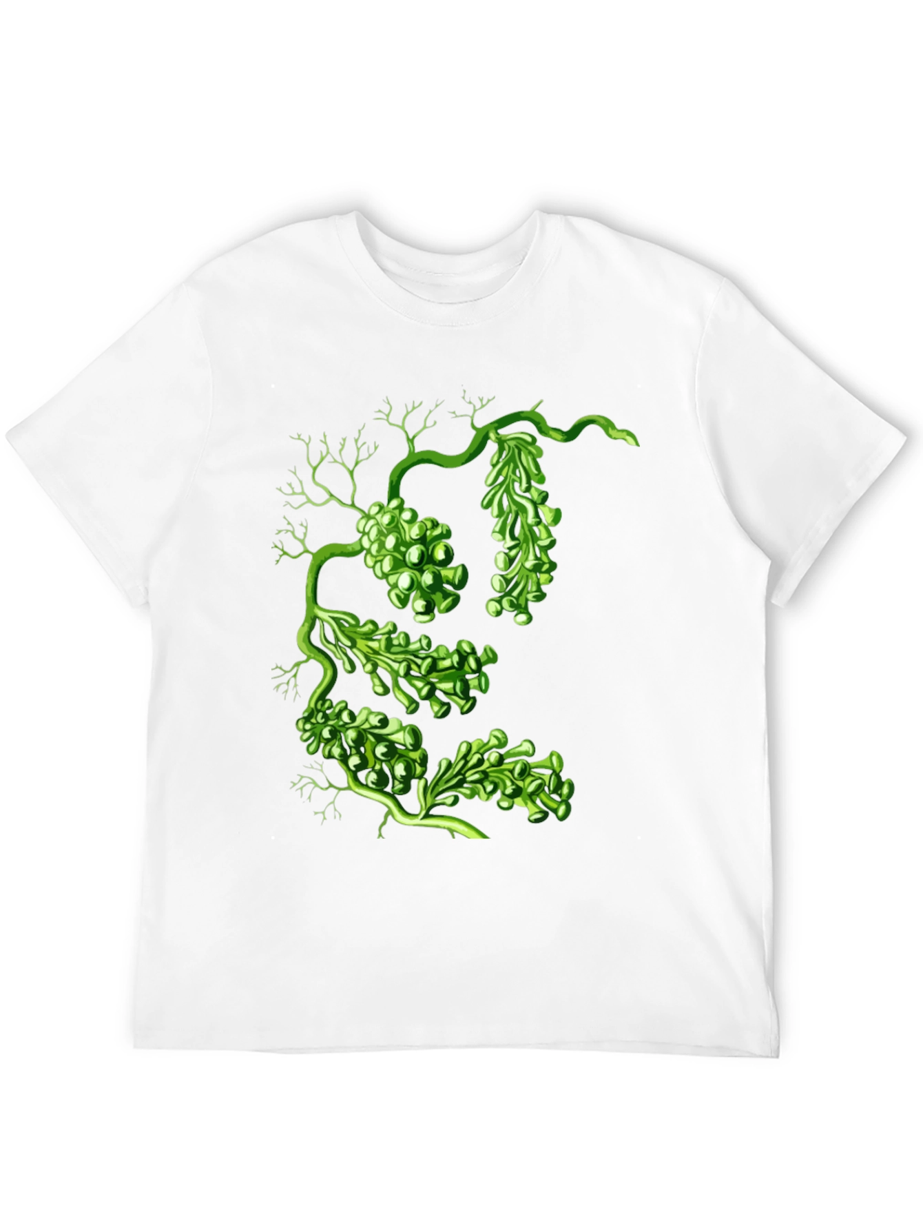 Sea Grape Graphic Tee - Black Cotton Shirt
