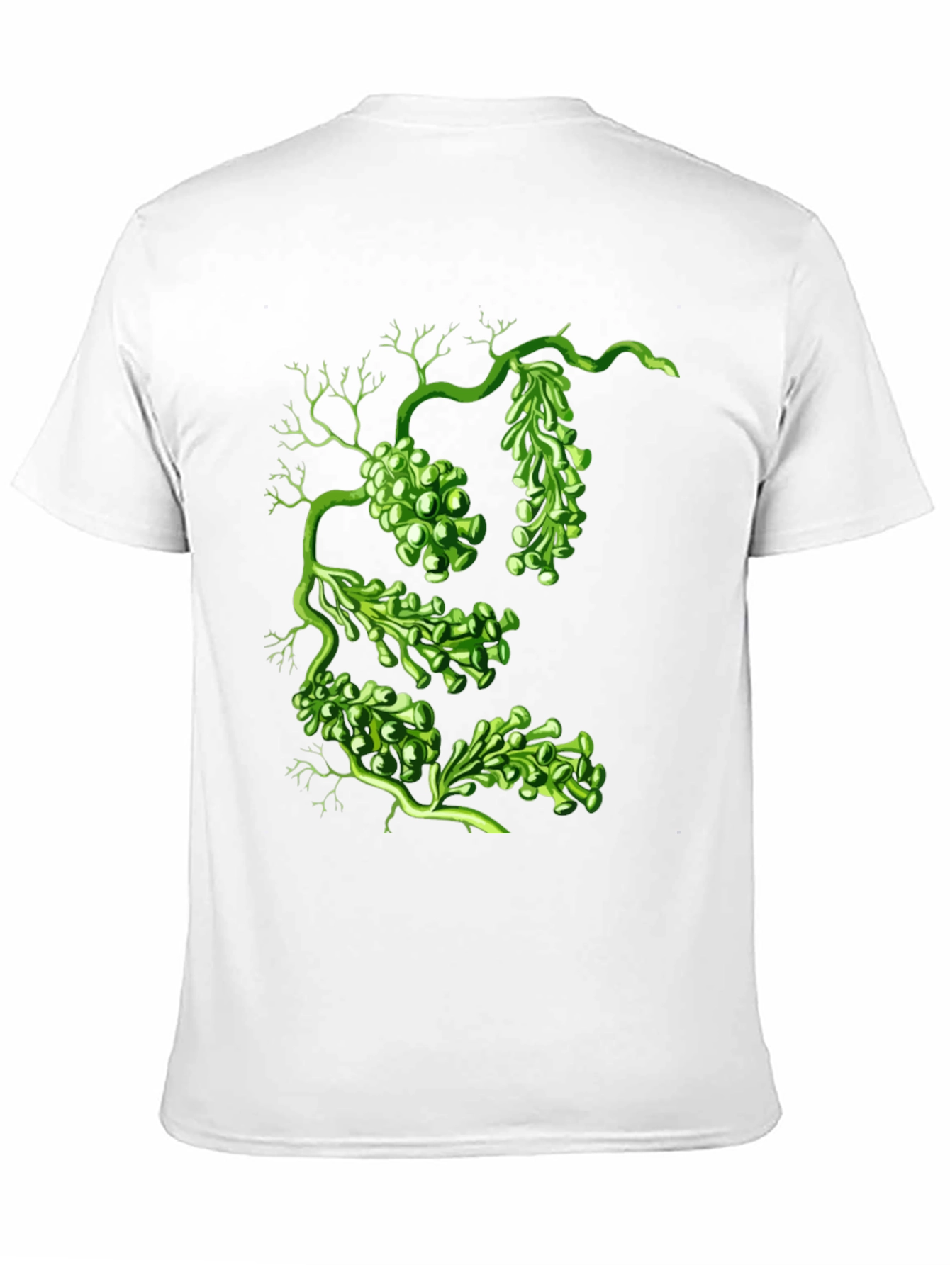 Sea Grape Graphic Tee - Black Cotton Shirt