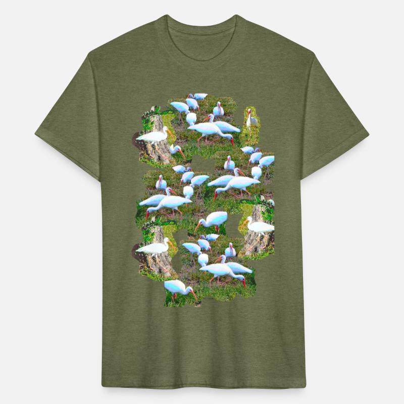 Flock of White Ibis Birds Collage